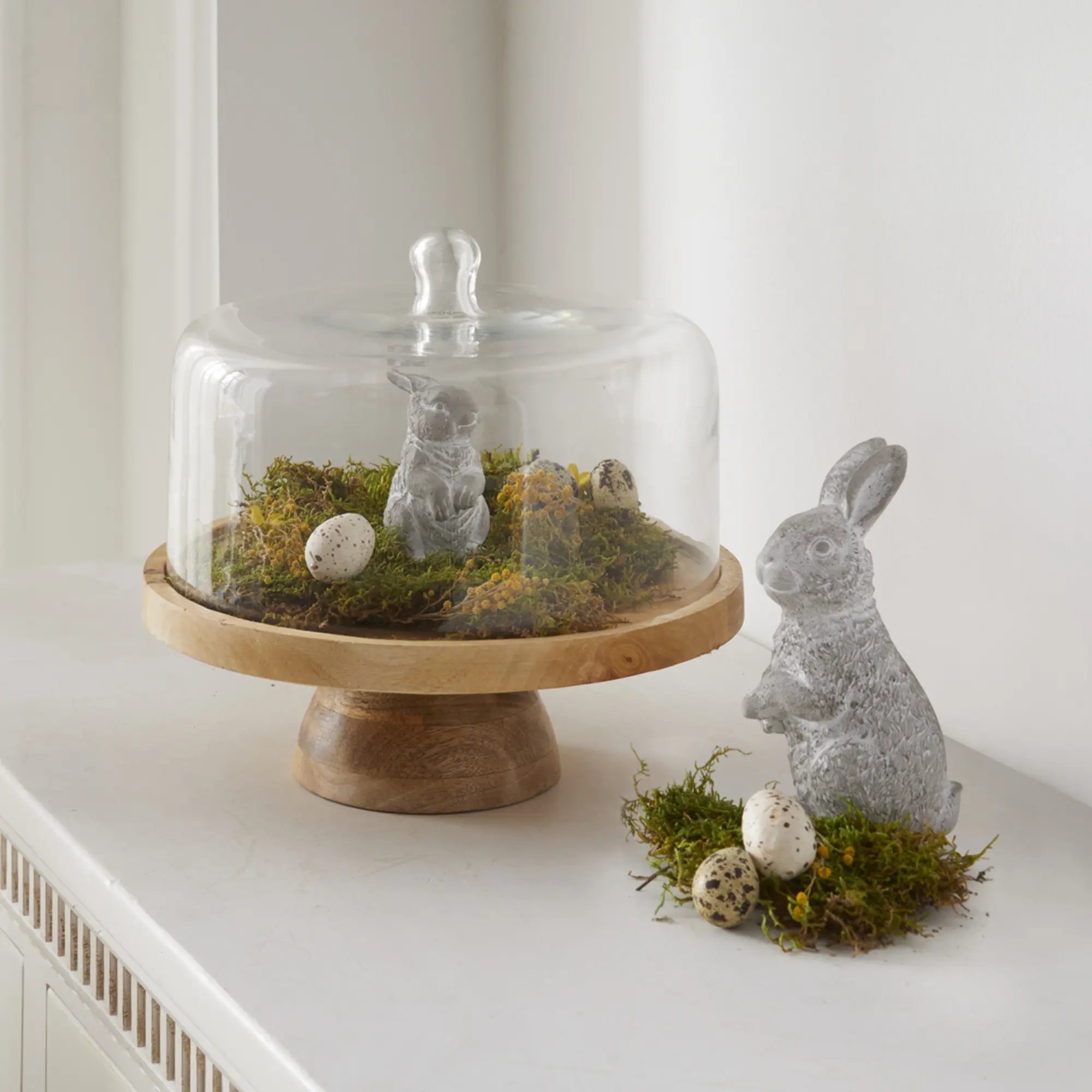 Acheter Plateau "bois de manguier" avec cloche en verre  dans la boutique en ligne de Frank Flechtwaren pour Table festive