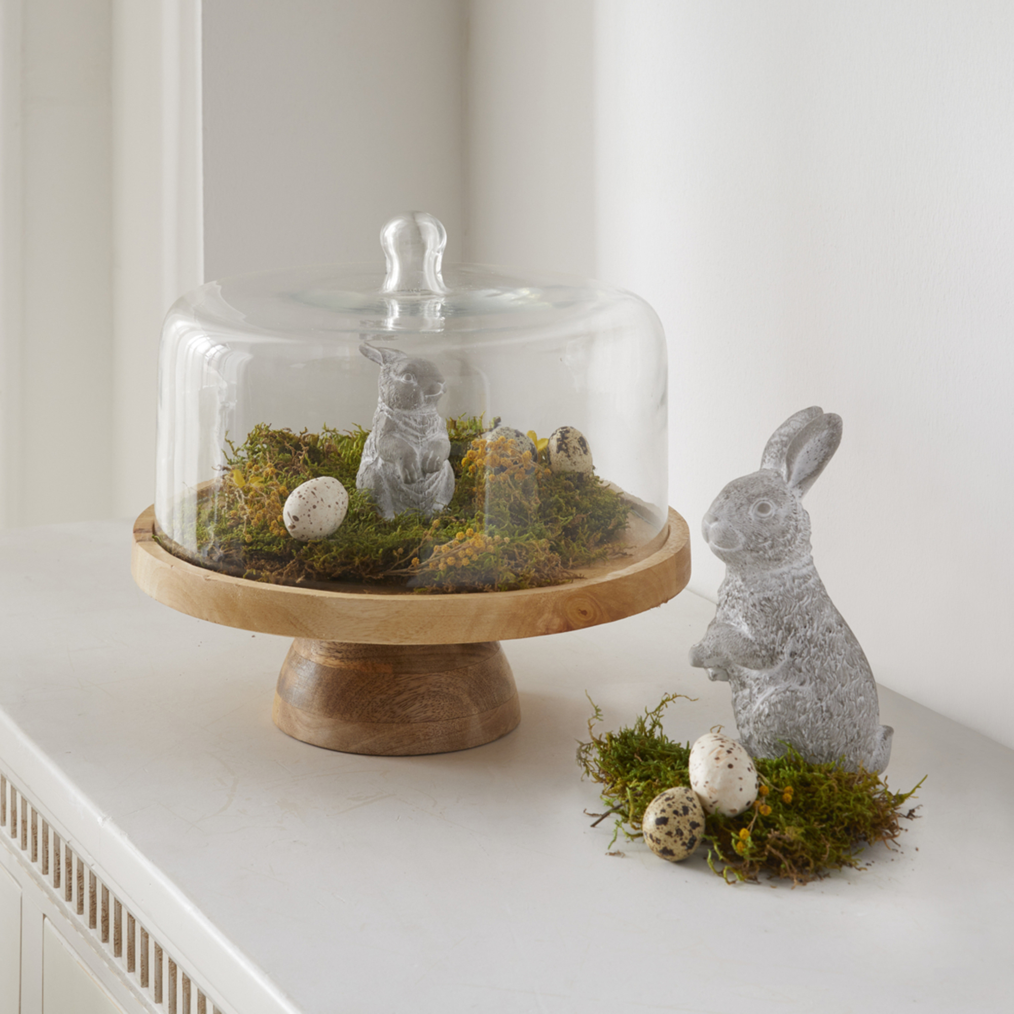 Acheter Plateau "bois de manguier" avec cloche en verre  dans la boutique en ligne de Frank Flechtwaren