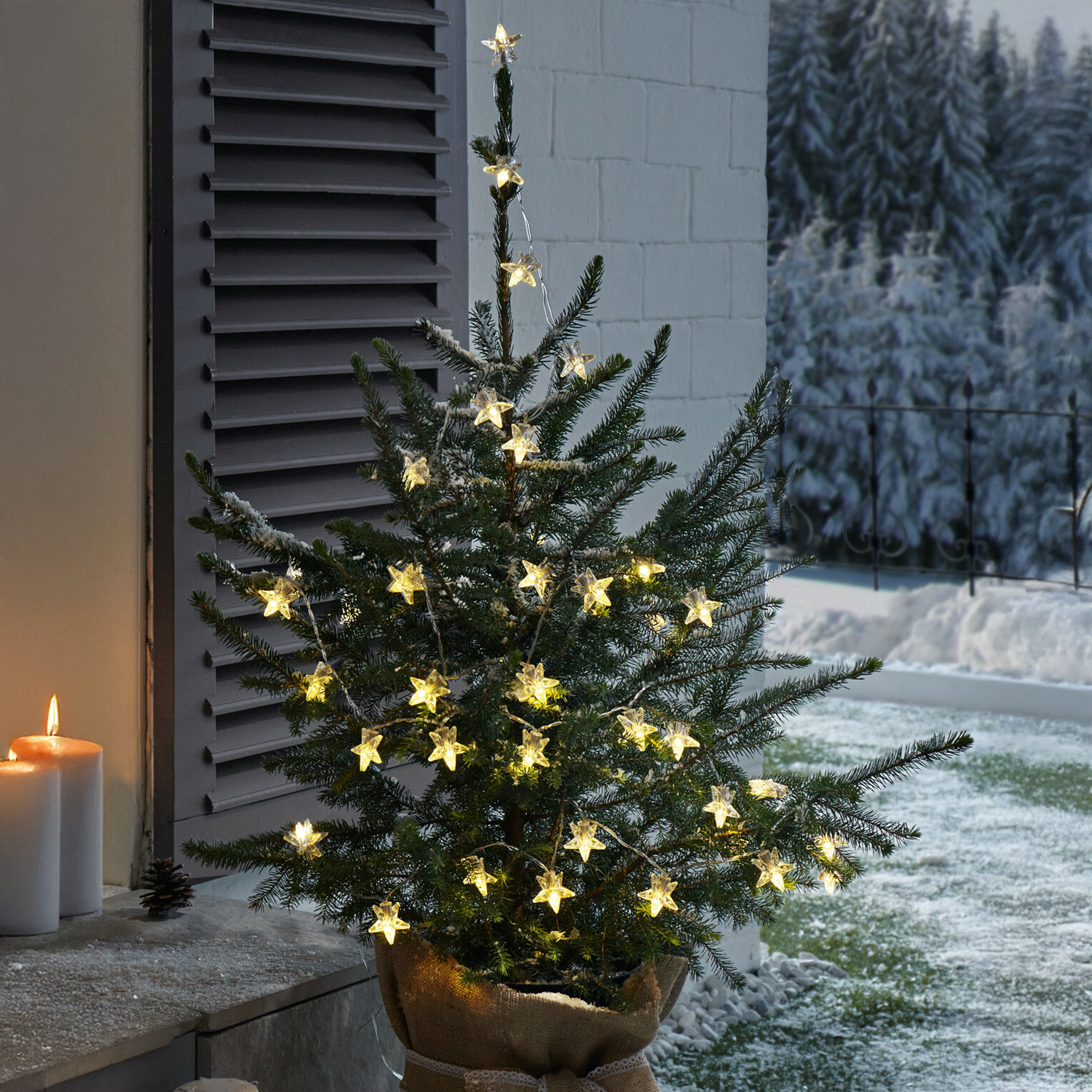 Acheter Guirlande LED "étoiles"  dans la boutique en ligne de Frank Flechtwaren pour Décorations pour sapins de Noël