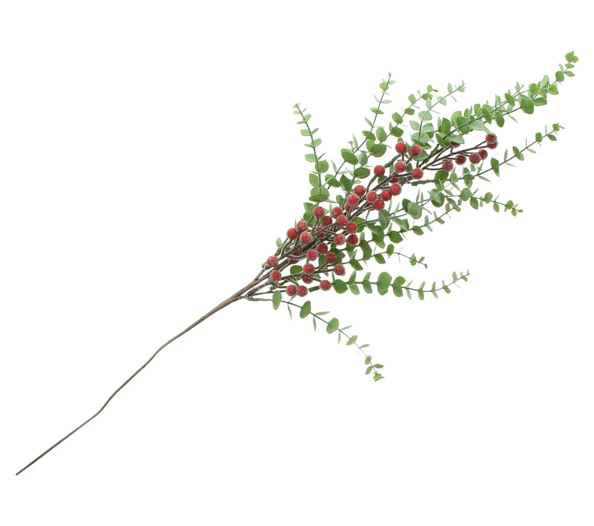 Acheter Branche "baies givrées"  dans la boutique en ligne de Frank Flechtwaren pour Couronnes et bouquets