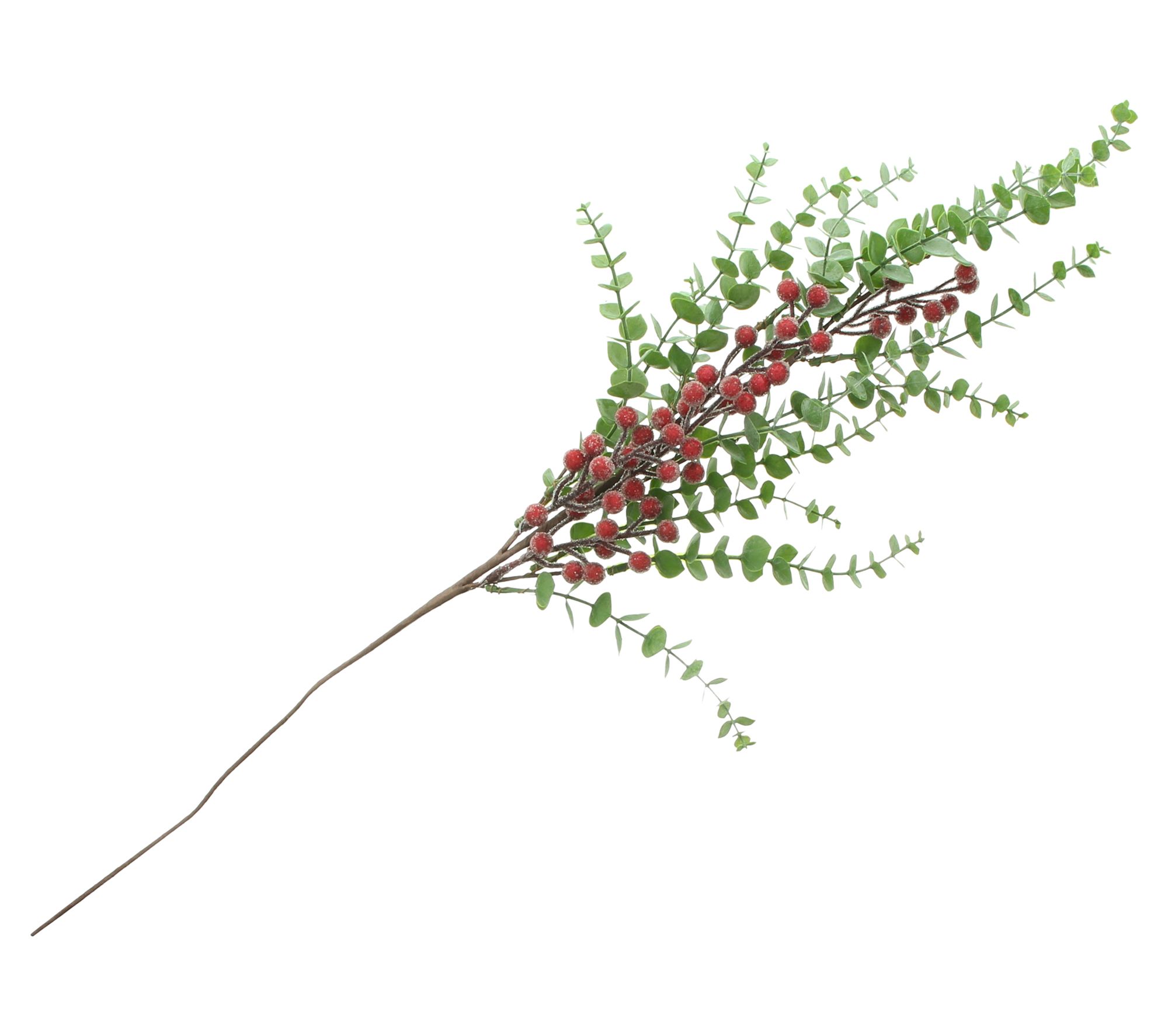 Acheter Branche "baies givrées"  dans la boutique en ligne de Frank Flechtwaren pour Noël