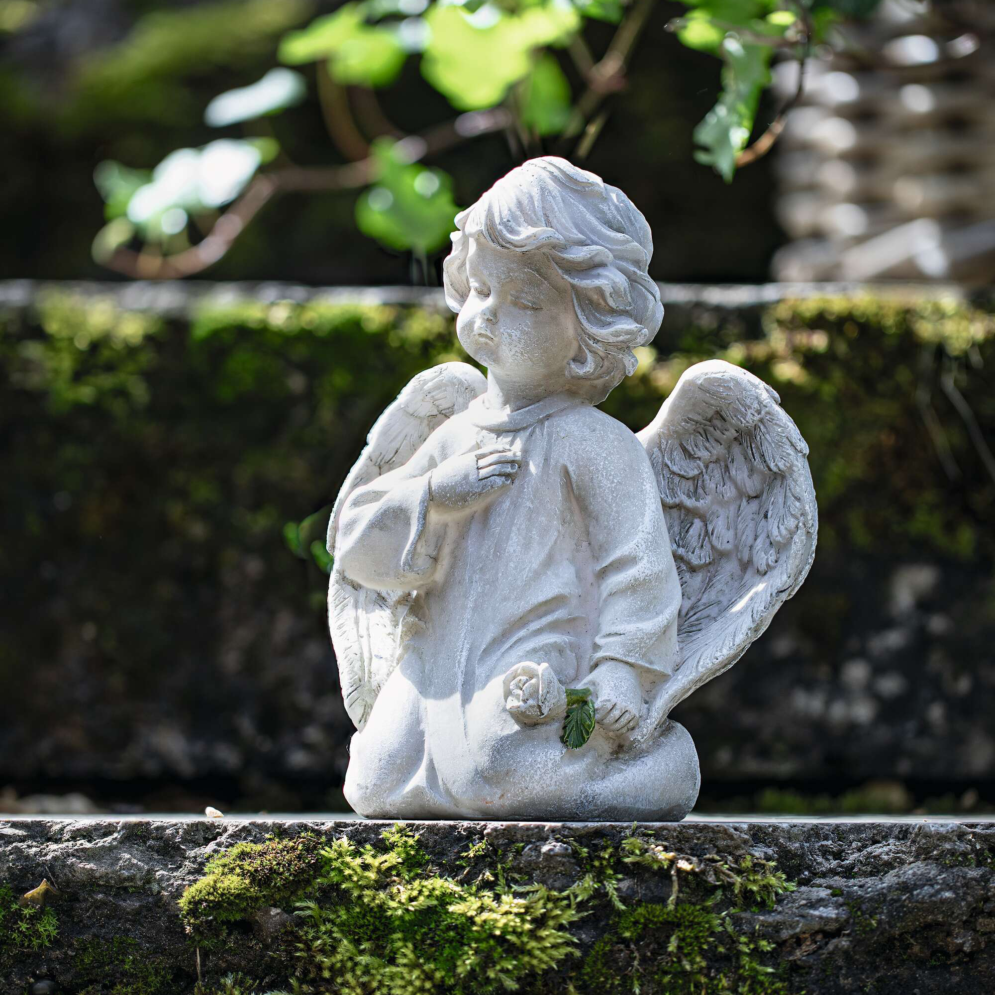 Acheter Ange "rose"  dans la boutique en ligne de Frank Flechtwaren