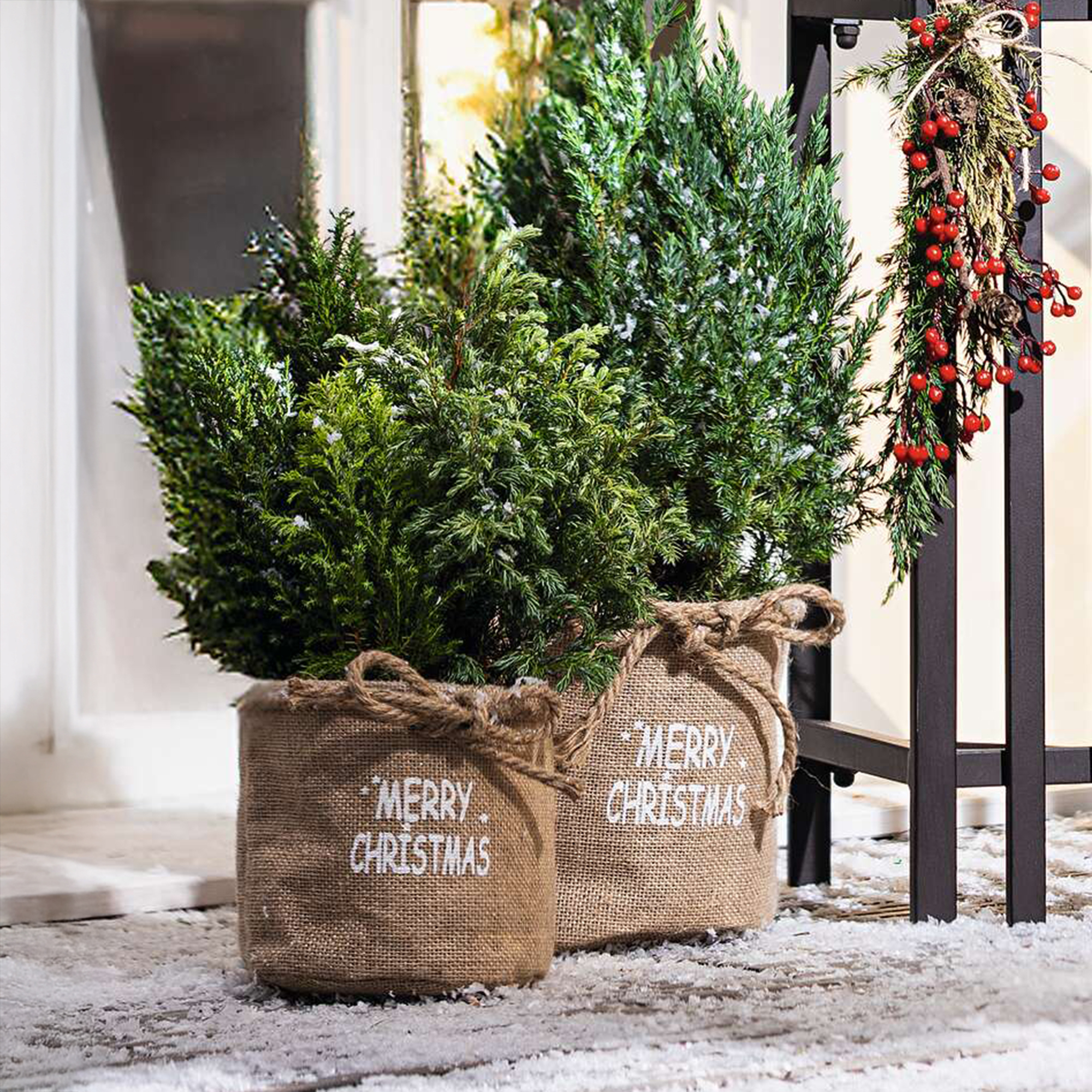 Acheter Lot de 2 paniers à plantes "Merry Christmas"  dans la boutique en ligne de Frank Flechtwaren