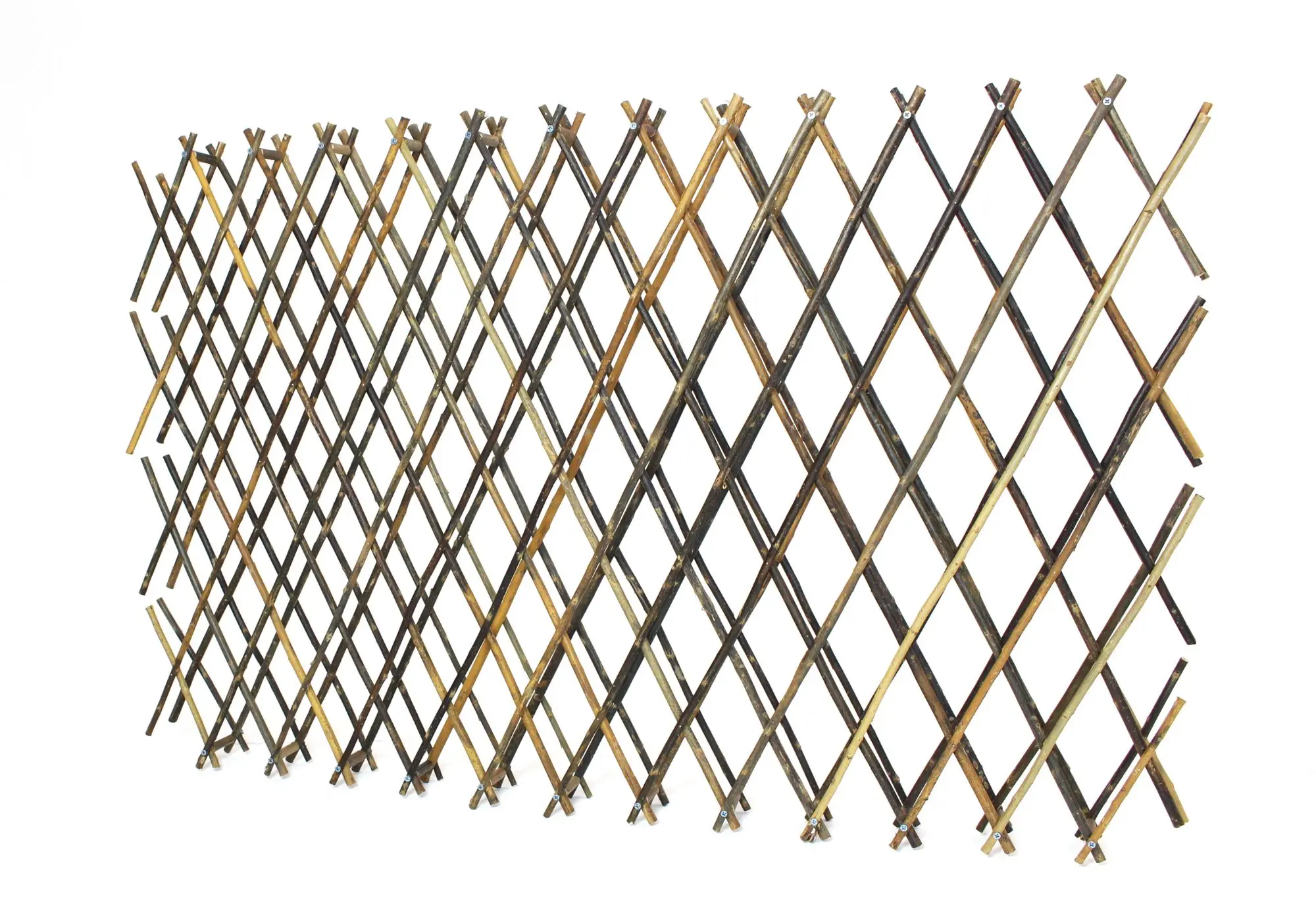 Acheter Clôture en osier "accordéon"  dans la boutique en ligne de Frank Flechtwaren pour Treillis &amp; arceaux