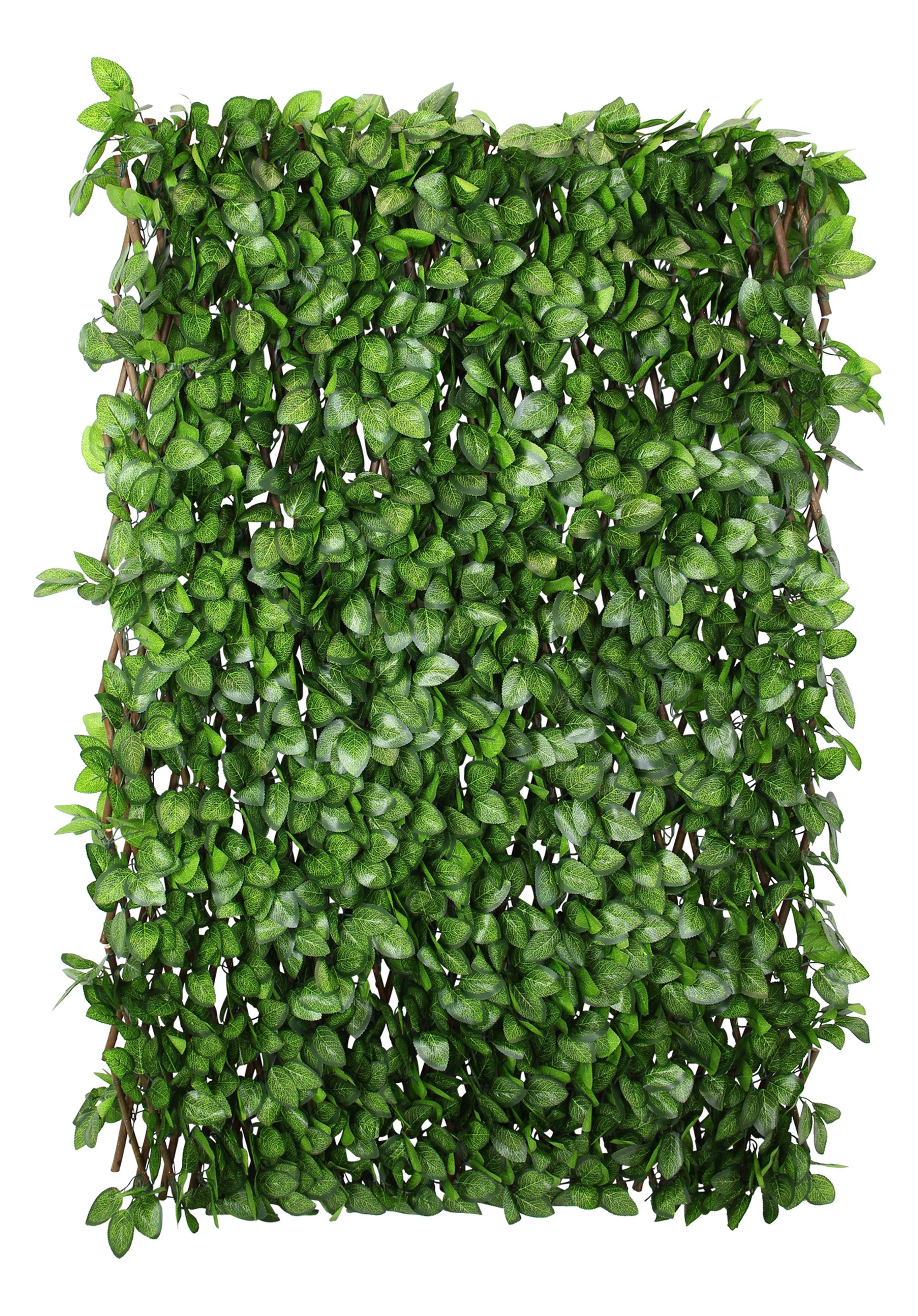 Acheter Brise-vue "toujours vert"  dans la boutique en ligne de Frank Flechtwaren pour Bordures &amp; clôtures