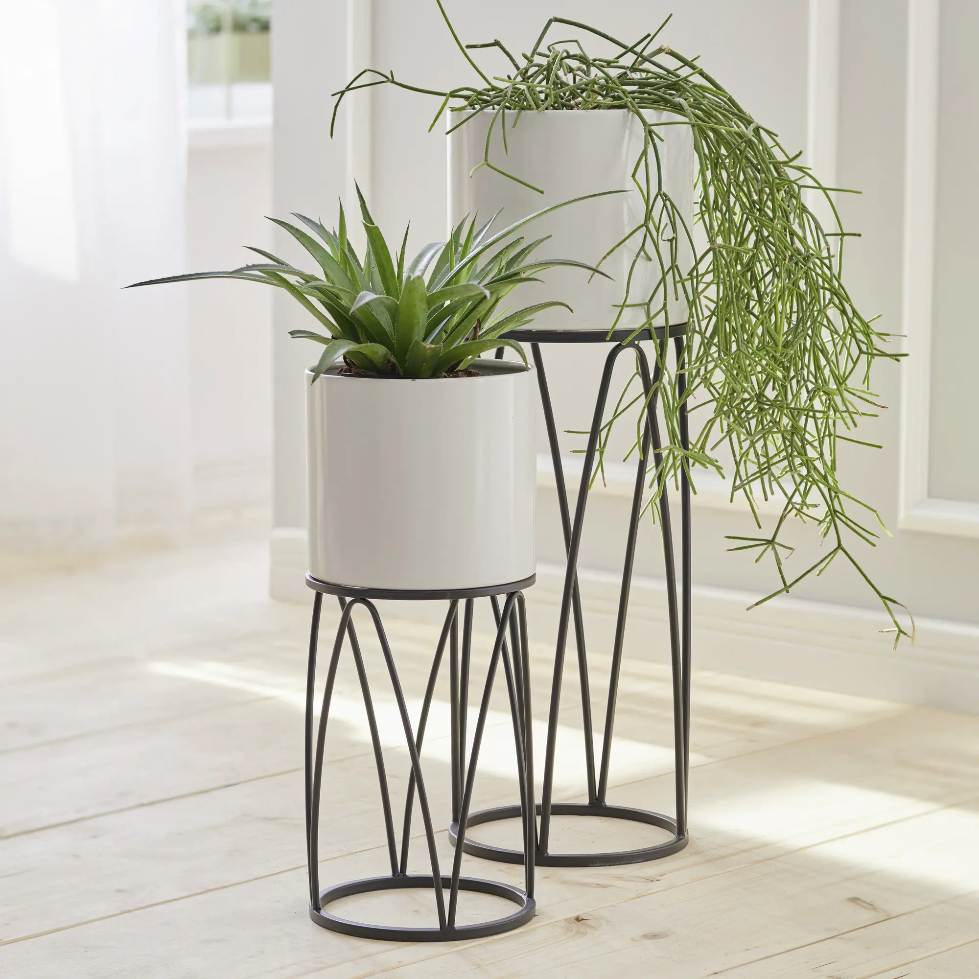 Acheter Lot de 2 cache-pots "rétro"  dans la boutique en ligne de Frank Flechtwaren