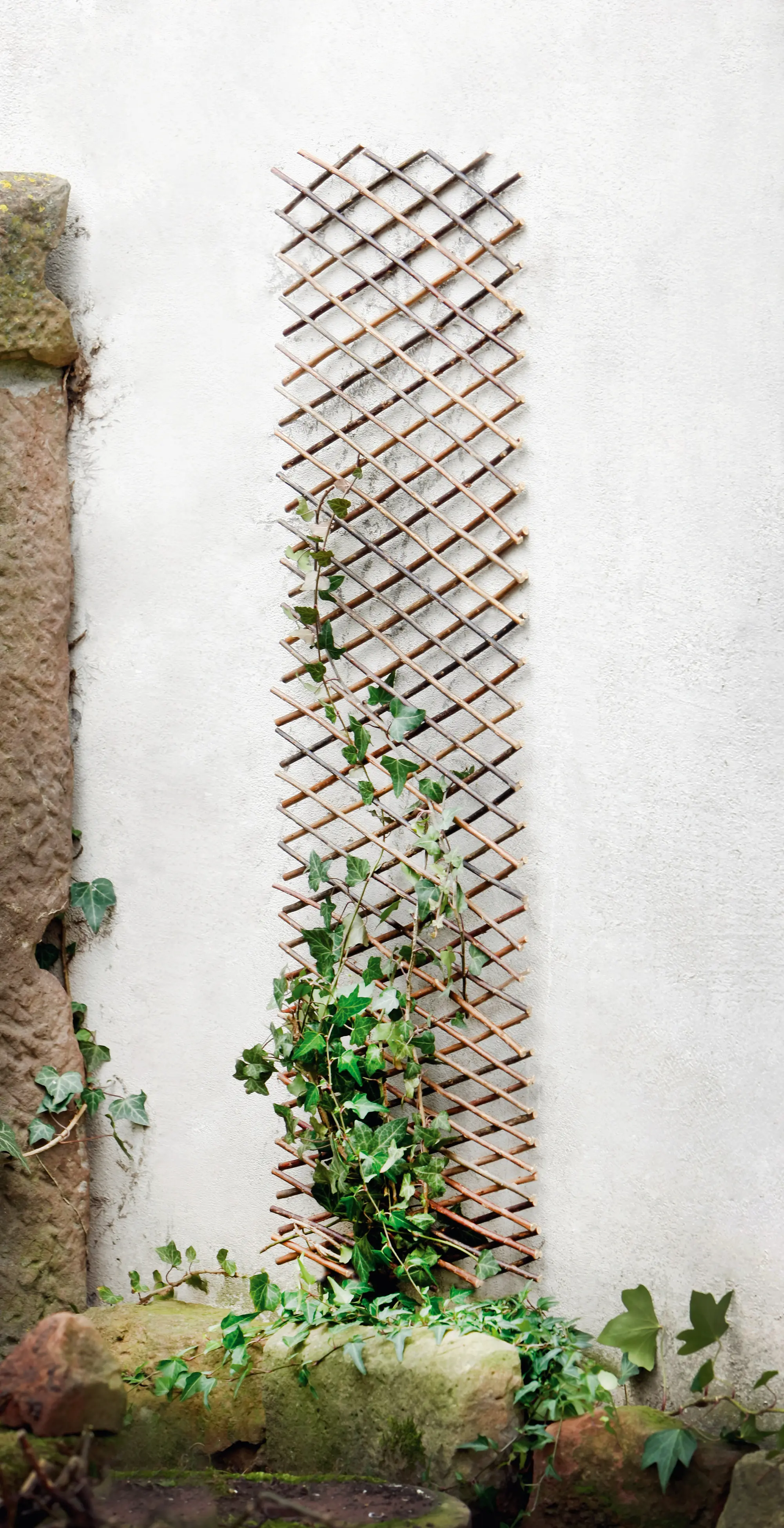 Acheter Grille tuteur, variable  dans la boutique en ligne de Frank Flechtwaren pour Treillis &amp; arceaux