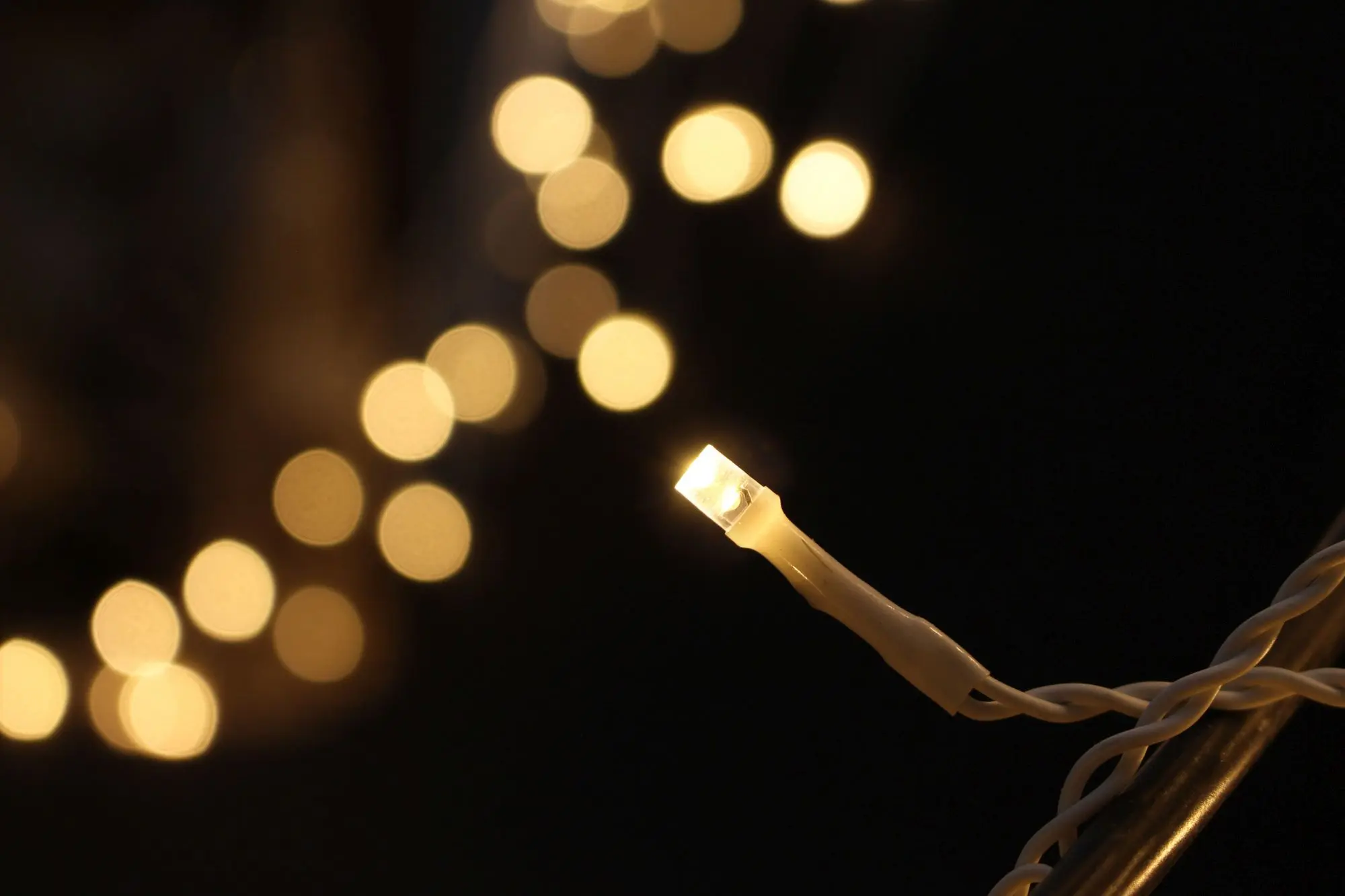Acheter Rideau de lumières, LED "blanc" dans la boutique en ligne de Frank Flechtwaren pour Luminaires de jardin Acheter Rideau de lumières, LED "blanc" dans la boutique en ligne de Frank Flechtwaren pour Luminaires de jardin