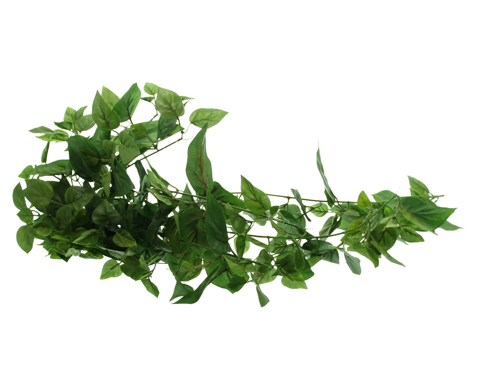 Acheter Liane de lierre "vert feuille"  dans la boutique en ligne de Frank Flechtwaren pour Plantes artificielles