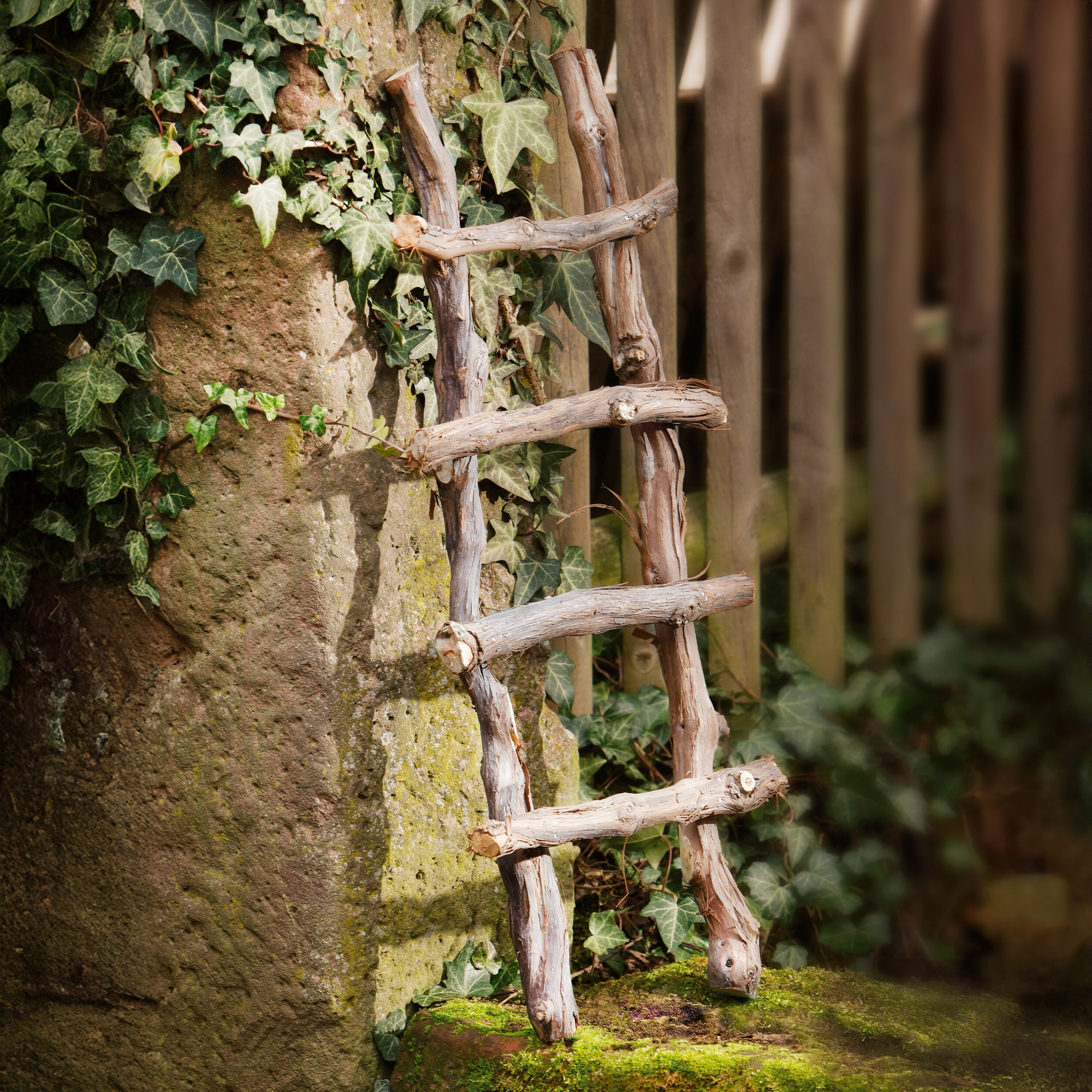 Acheter Échelle de décoration "bois de vigne"  dans la boutique en ligne de Frank Flechtwaren