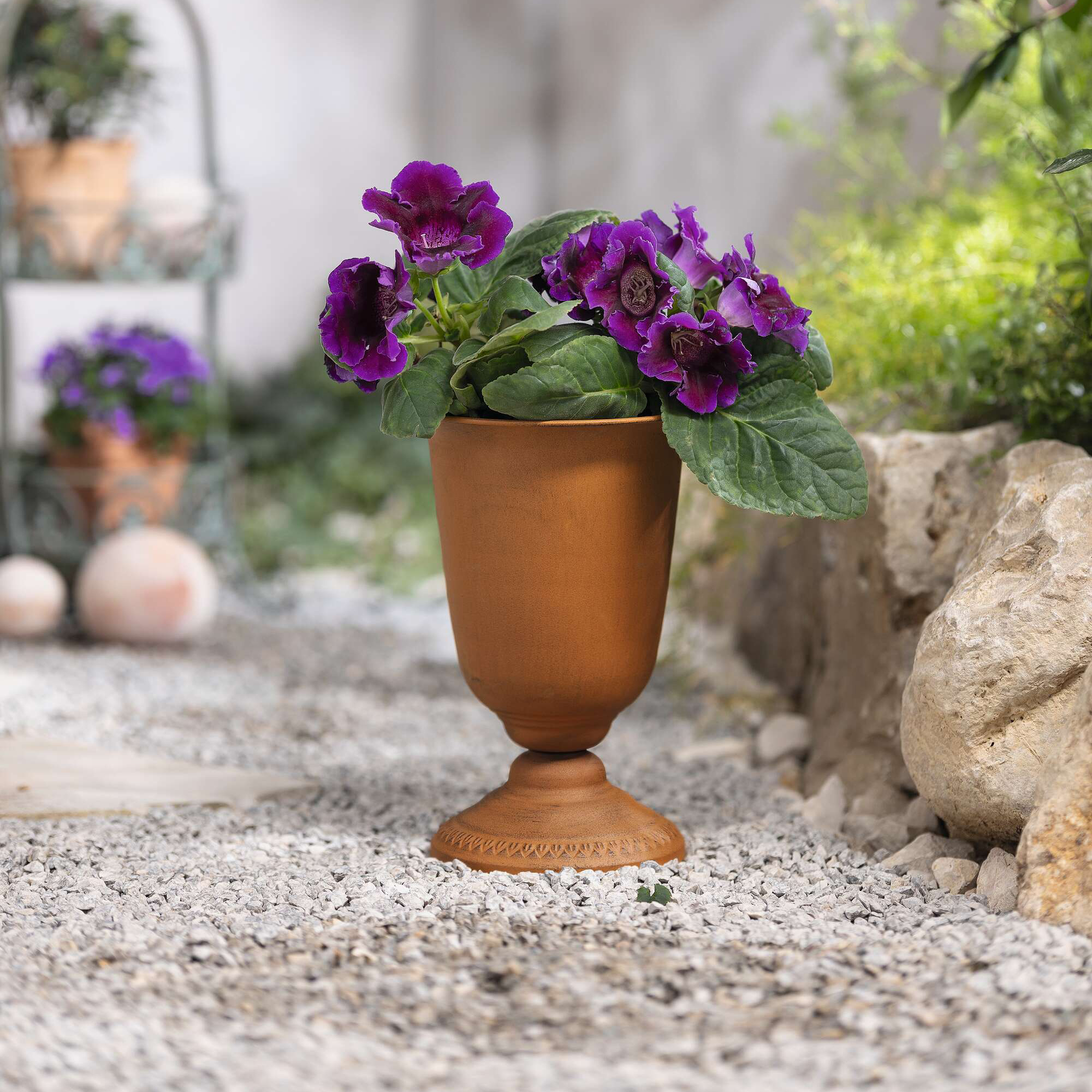 Acheter Jardinière coupe "aspect rouille"  dans la boutique en ligne de Frank Flechtwaren
