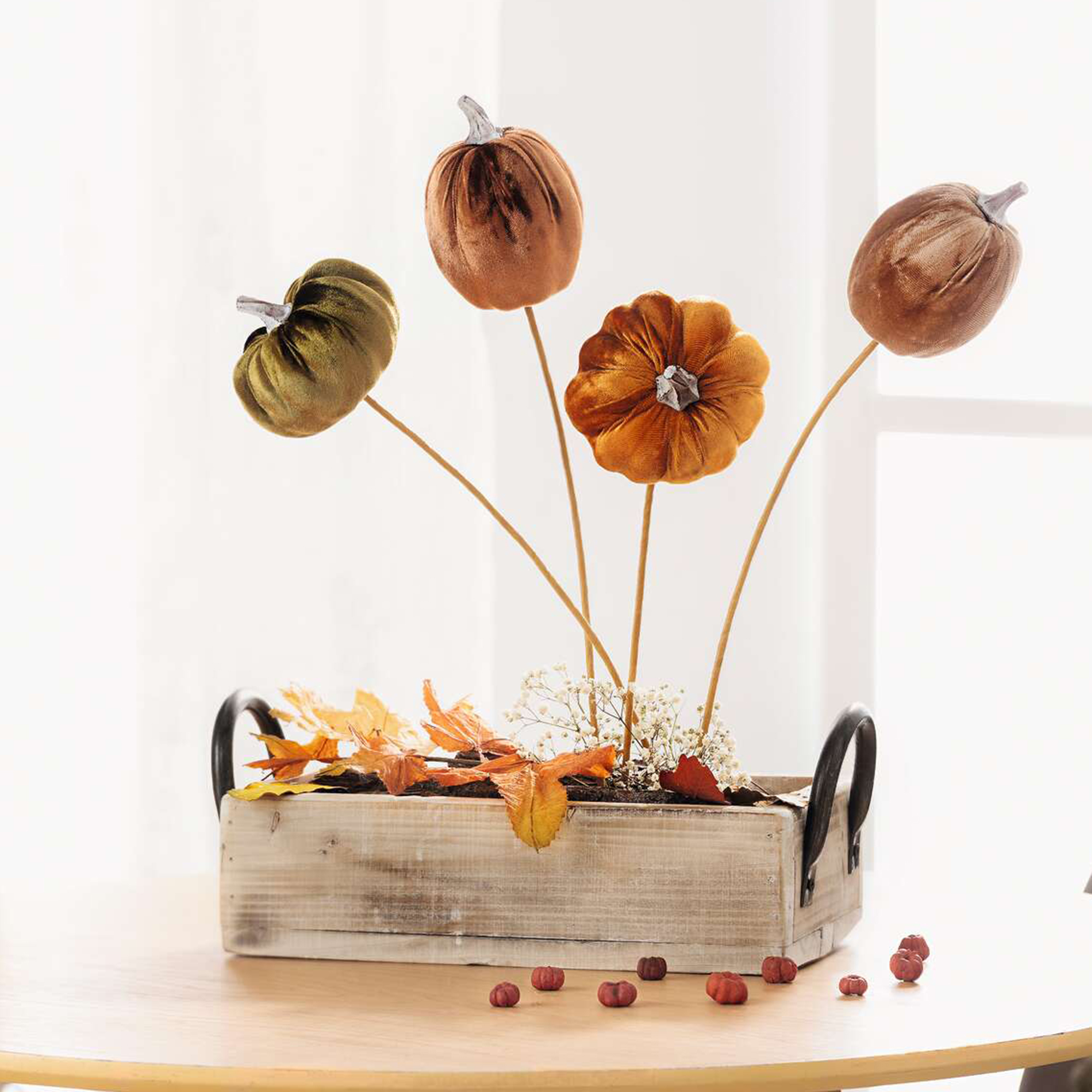 Acheter Lot de 4 pics "citrouille velours"  dans la boutique en ligne de Frank Flechtwaren