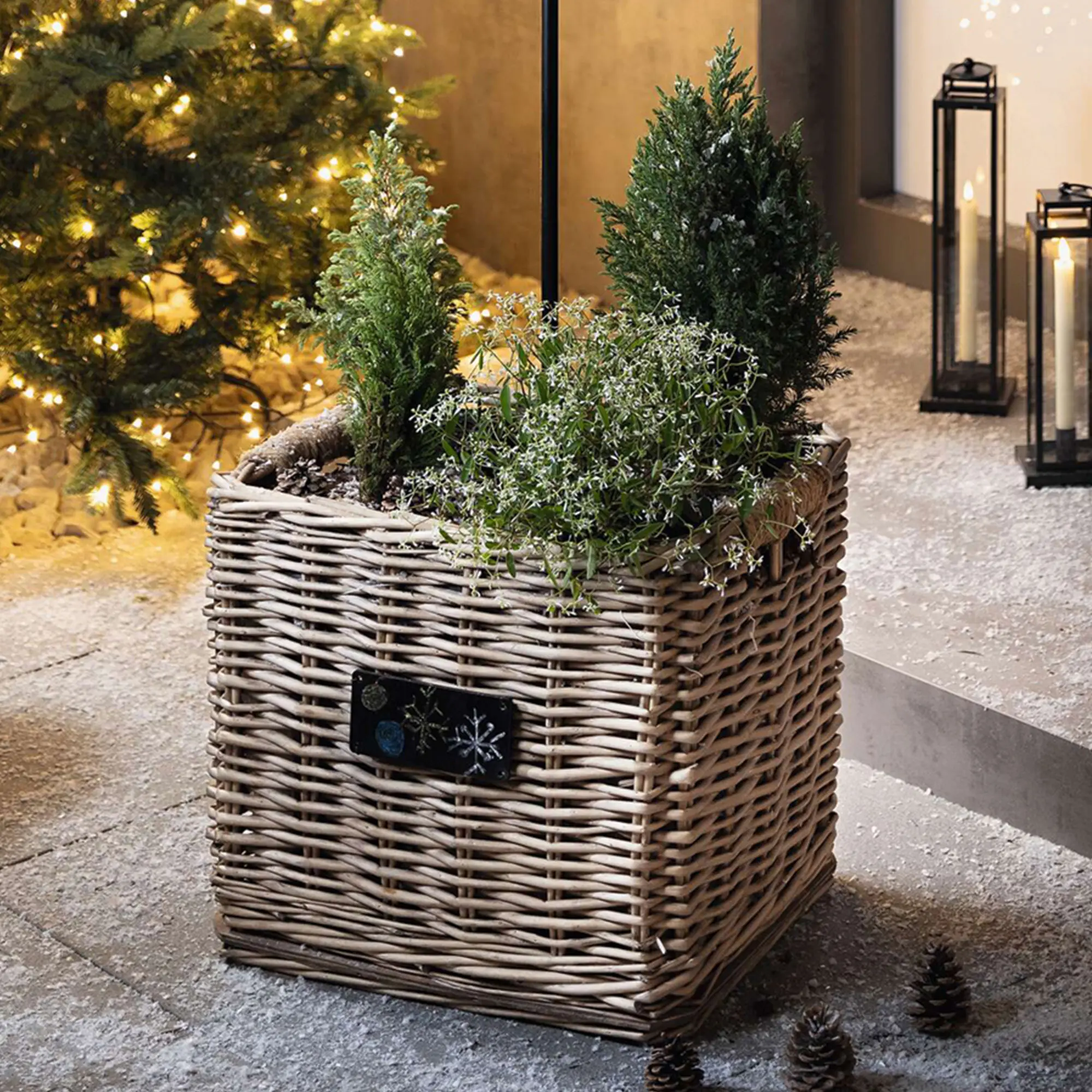 Acheter Lot de 2 paniers à plantes "osier chic"  dans la boutique en ligne de Frank Flechtwaren