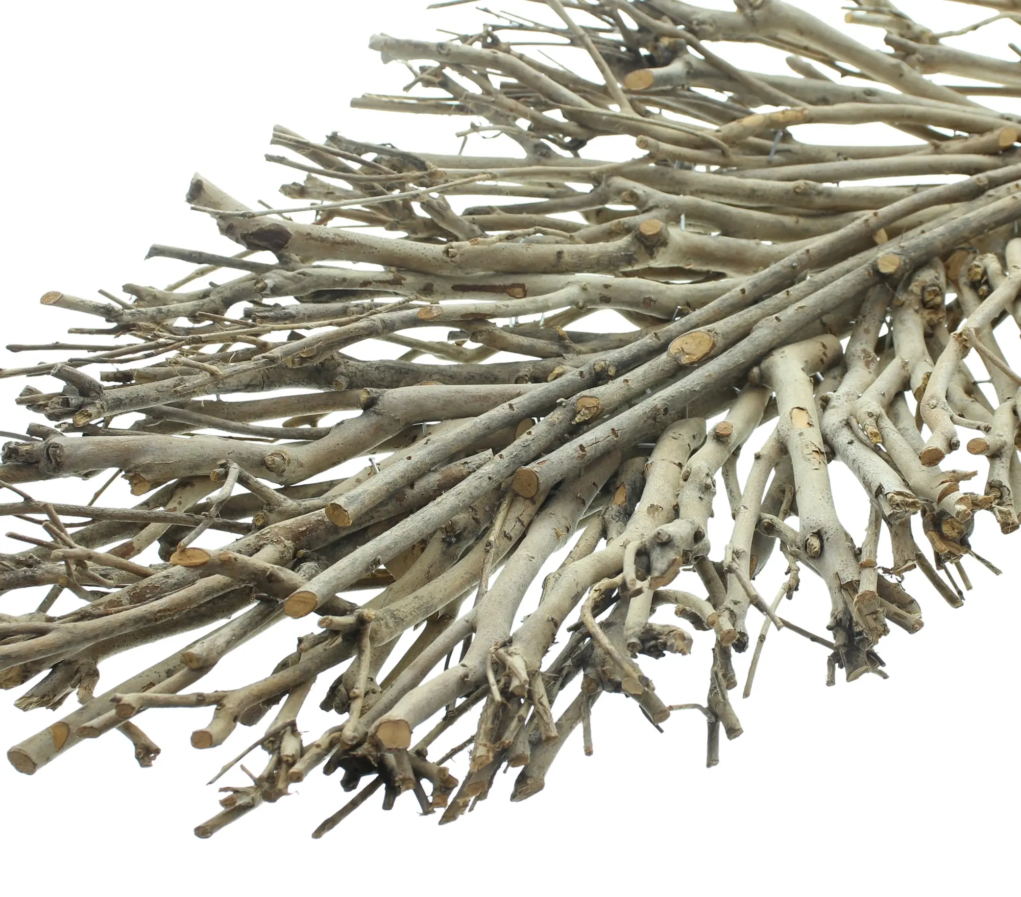 Acheter Feuille décorative "ramifiée"  dans la boutique en ligne de Frank Flechtwaren pour Bouquets décoratifs
