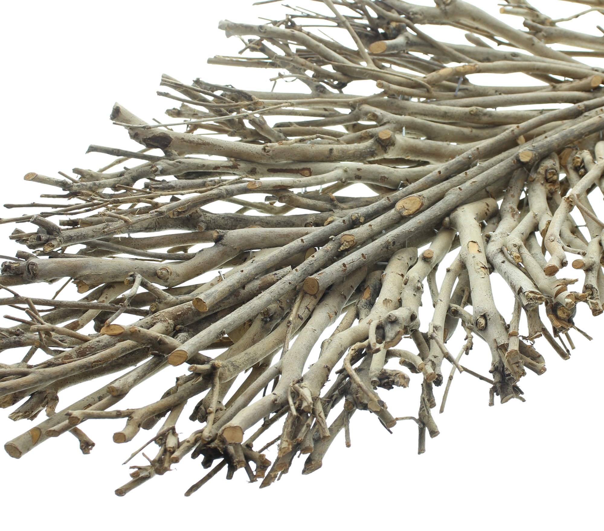 Acheter Feuille décorative "ramifiée"  dans la boutique en ligne de Frank Flechtwaren pour Série titre automne/hiver