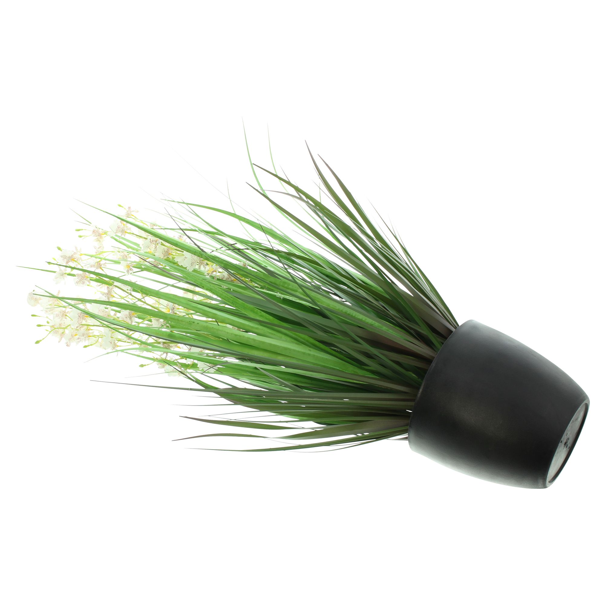 Acheter Plante en pot "Dancing Orchid"  dans la boutique en ligne de Frank Flechtwaren pour Plantes artificielles