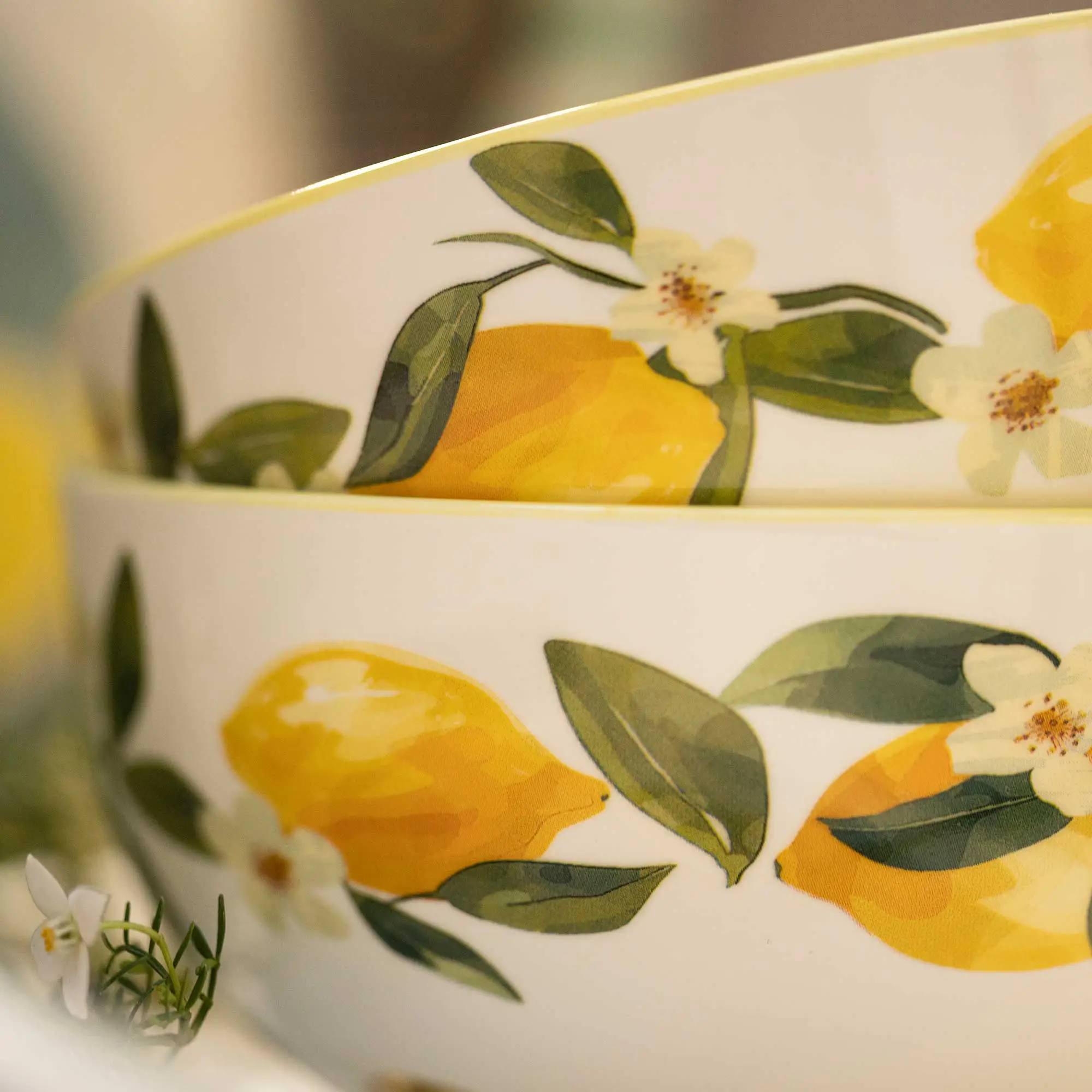 Acheter Lot de 2 bols "Senteur d'été"  dans la boutique en ligne de Frank Flechtwaren pour Sorbet citron au