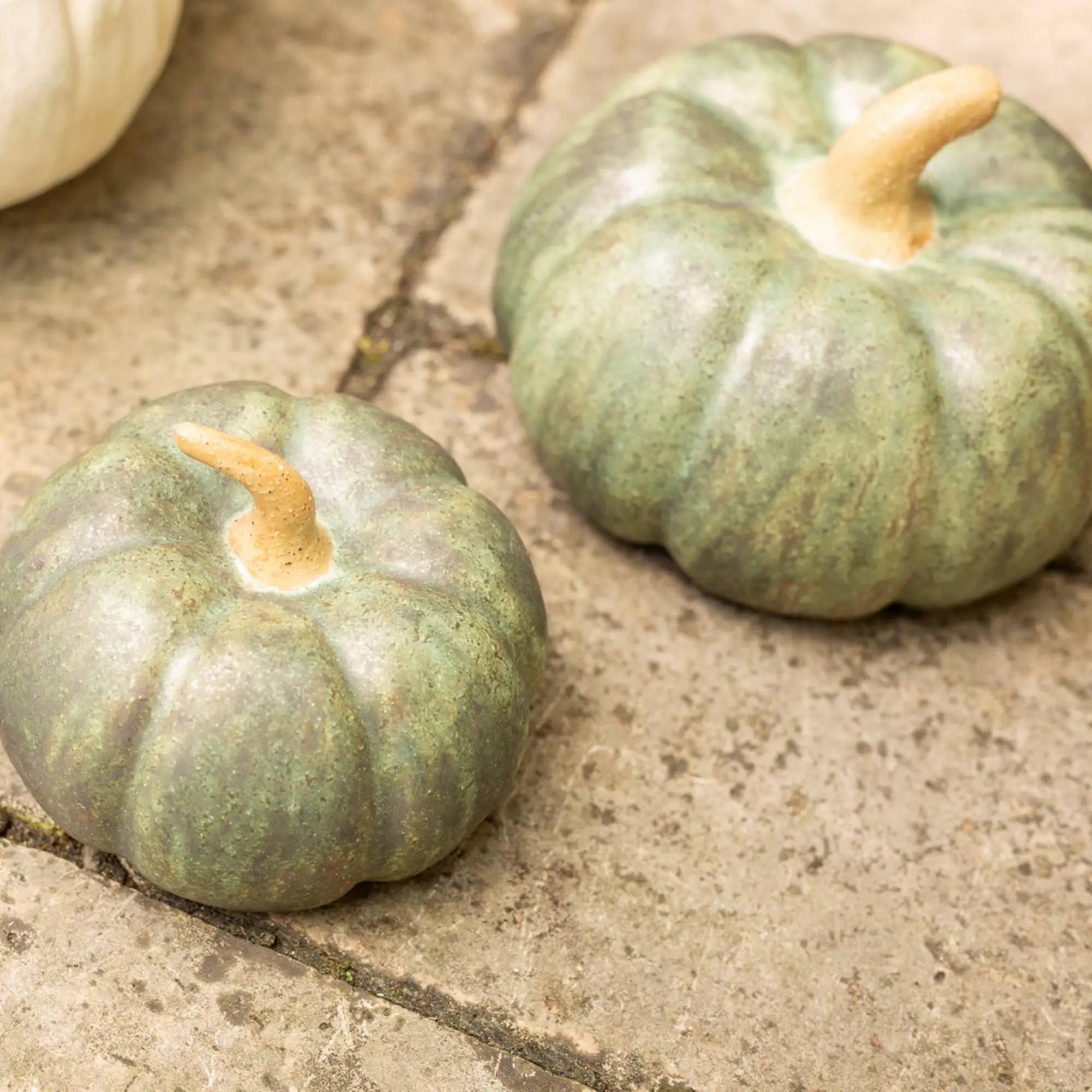 Acheter Courge décorative « Antik Green », lot de 2 dans la boutique en ligne de Frank Flechtwaren pour Citrouilles