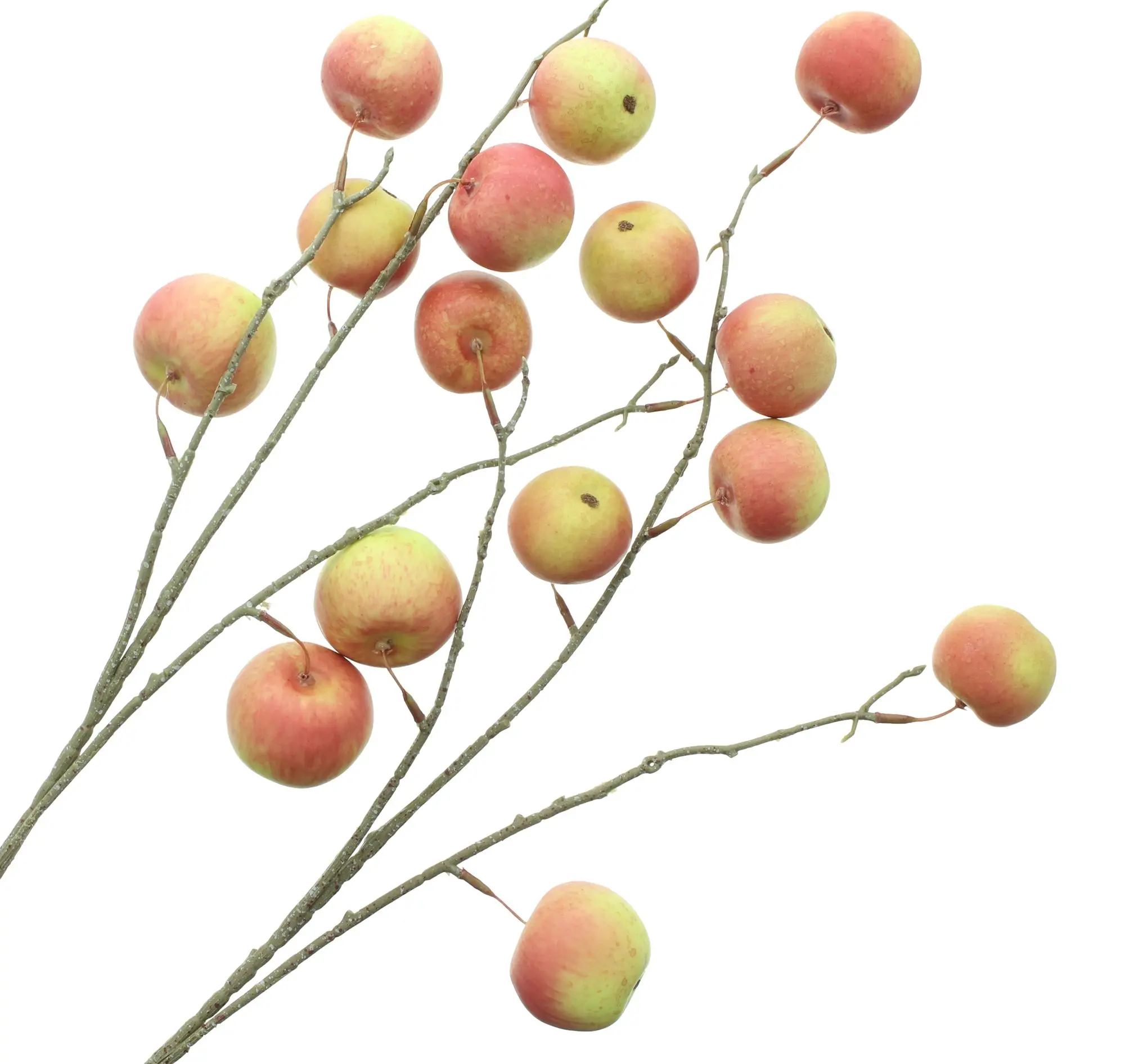 Acheter Branche artificielle « Pomme », lot de 2 dans la boutique en ligne de Frank Flechtwaren pour Promenade en forêt