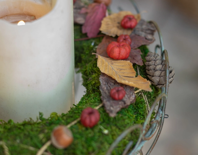 Décoration d'automne : couronne composée de mousse, de citrouilles décoratives rouges, de feuilles et de pommes de pin, à utiliser comme décoration de table