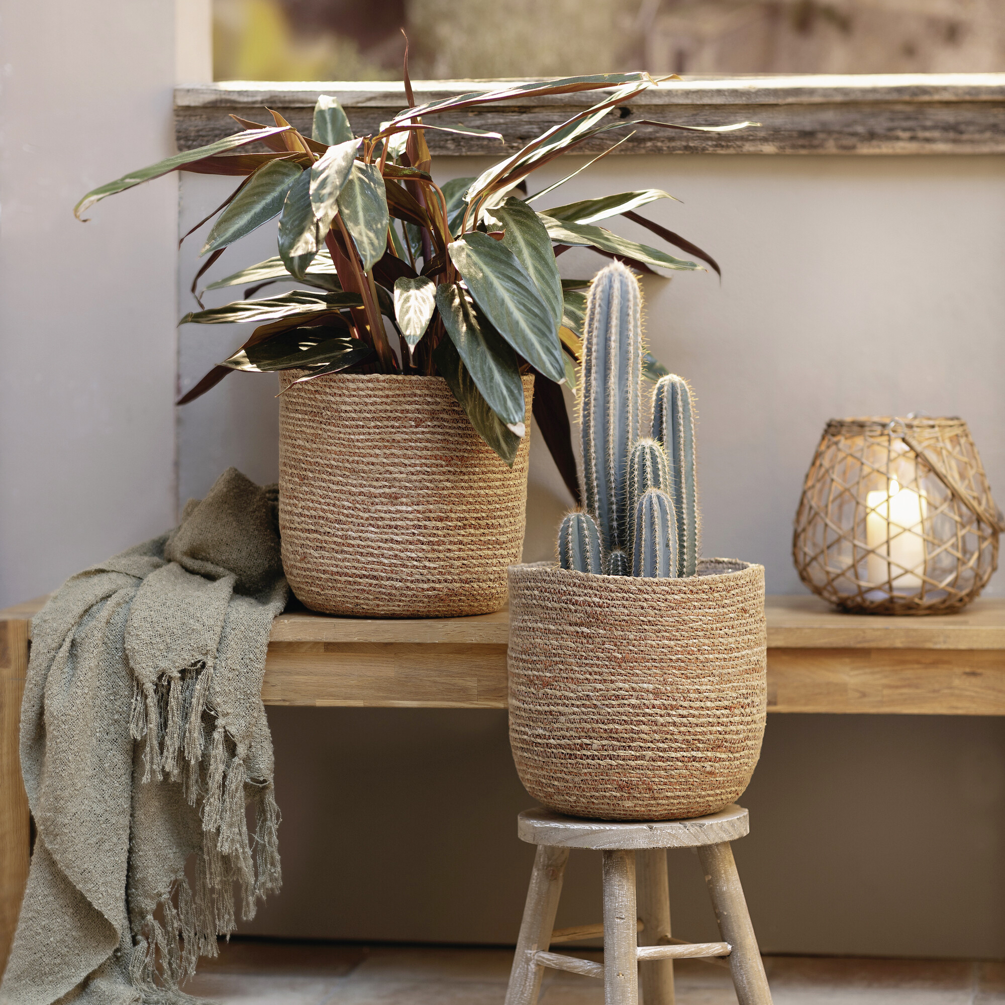 Acheter Lot de 2 jardinières "terra"  dans la boutique en ligne de Frank Flechtwaren