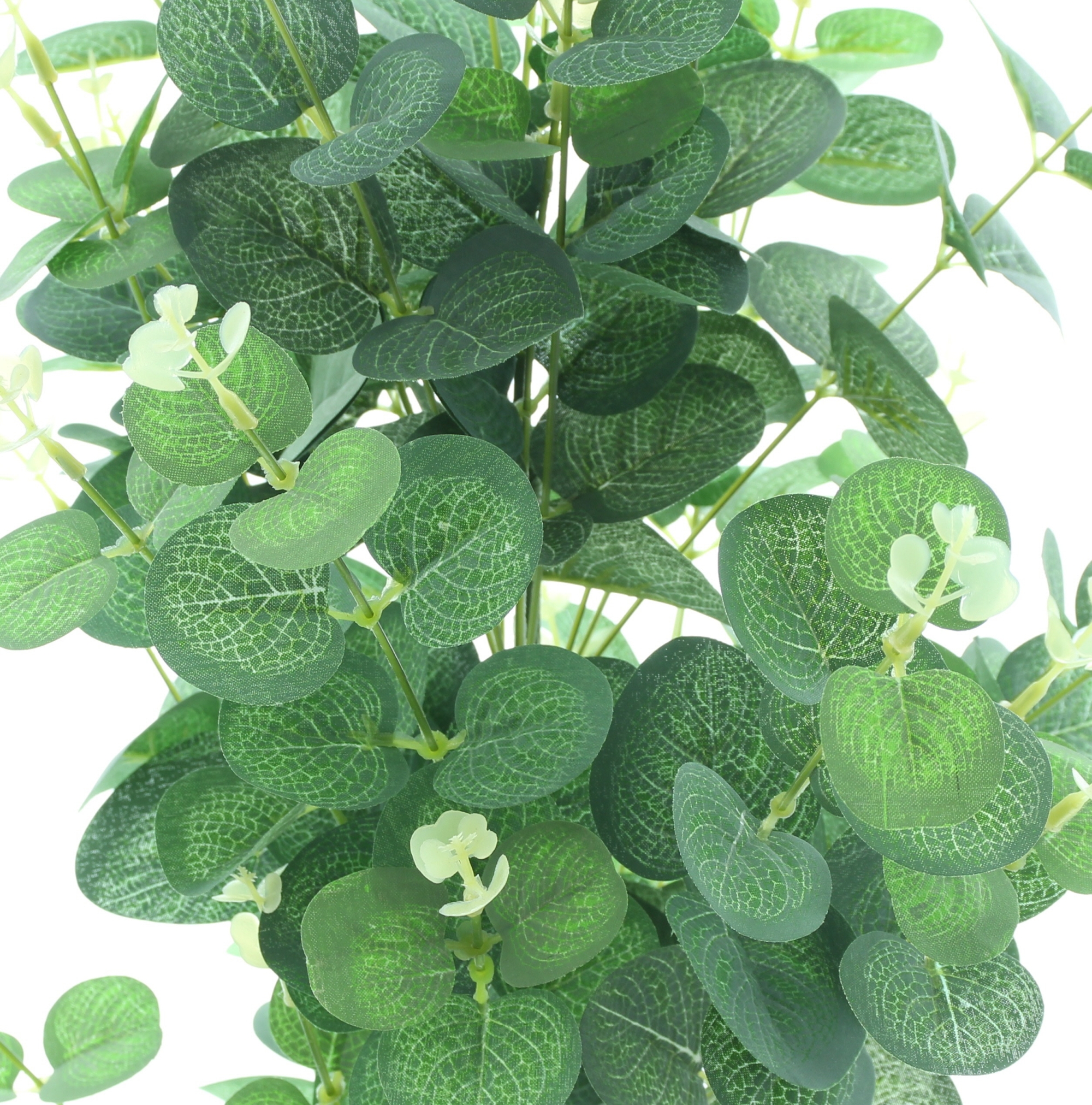 Acheter Plante en pot "eucalyptus" dans la boutique en ligne de Frank Flechtwaren pour Pâques Acheter Plante en pot "eucalyptus" dans la boutique en ligne de Frank Flechtwaren pour Pâques