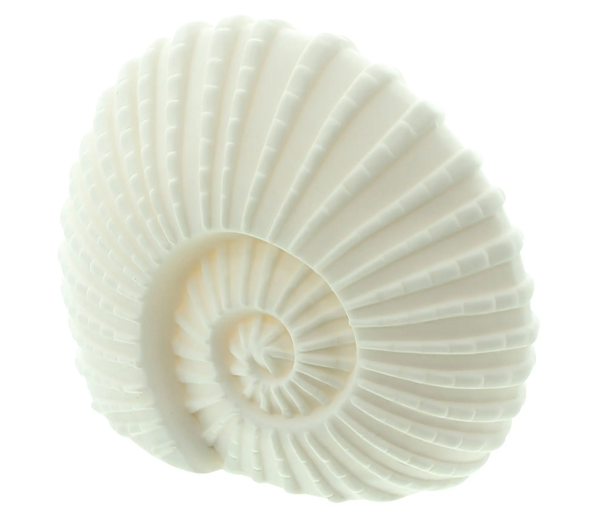 Acheter Coquillage LED "White"  dans la boutique en ligne de Frank Flechtwaren pour Figurines décoratives
