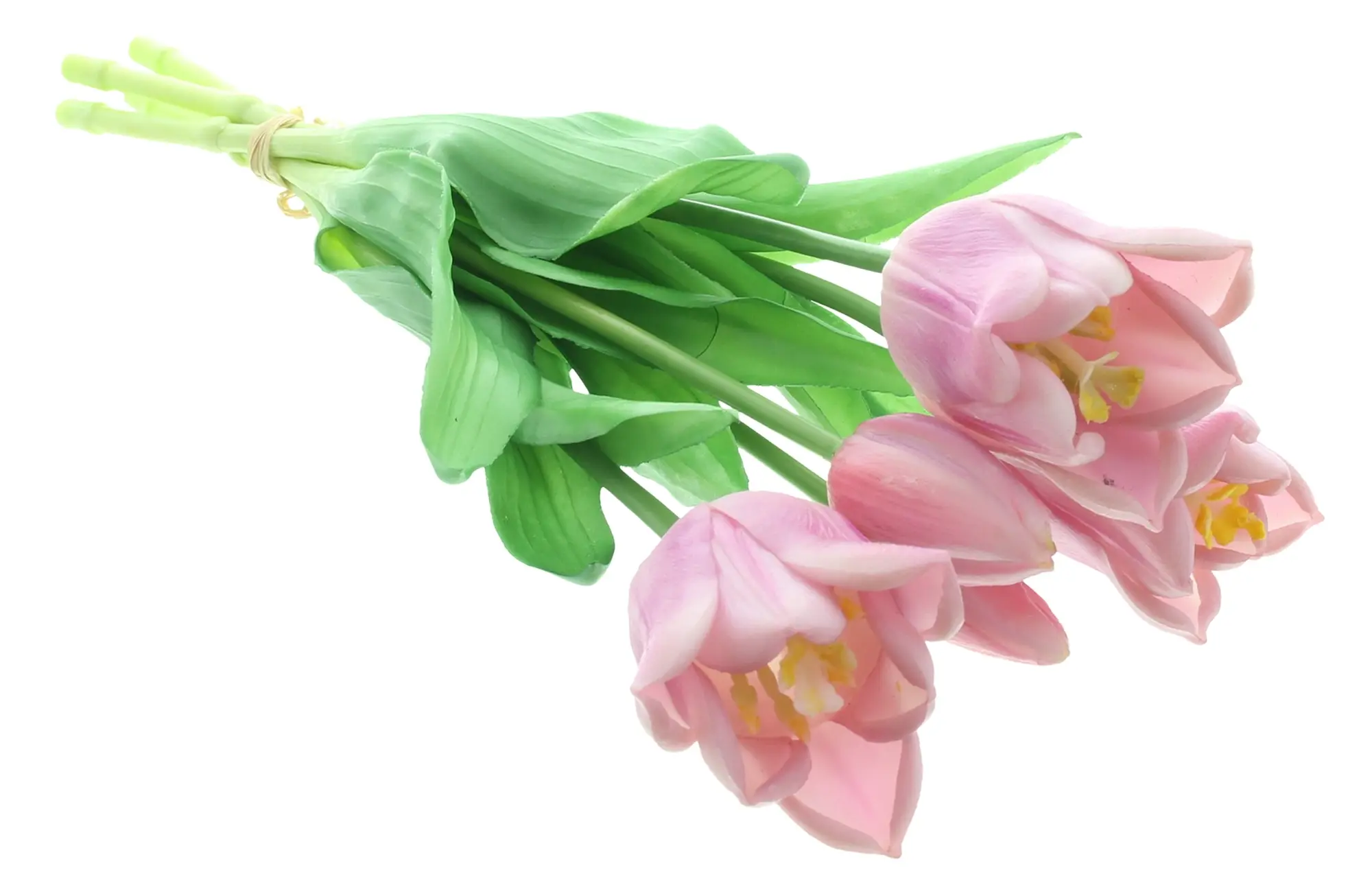 Acheter Lot de 5 tulipes "lila"  dans la boutique en ligne de Frank Flechtwaren pour Tons pastel