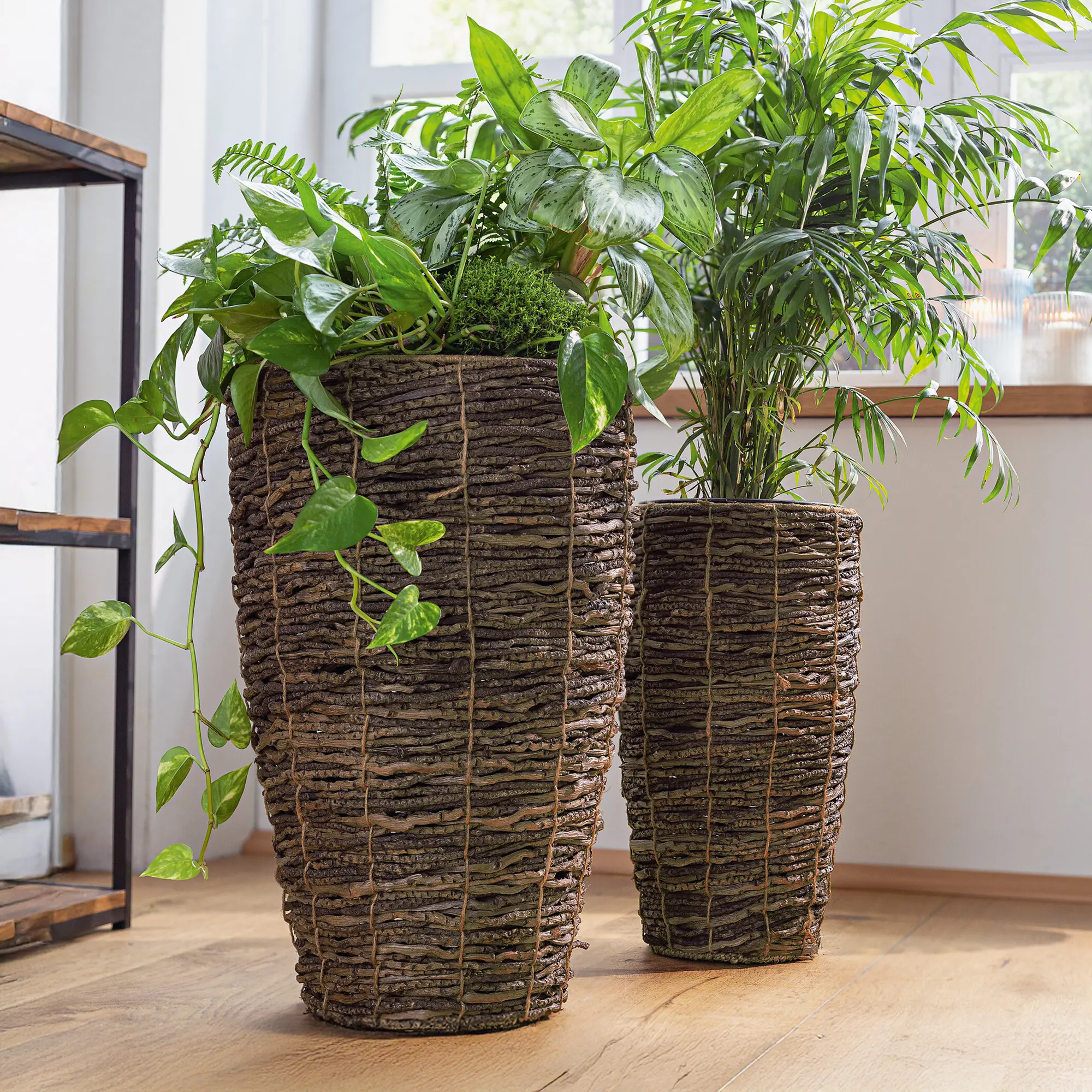 Acheter Lot de 2 cache-pots "coconut"  dans la boutique en ligne de Frank Flechtwaren