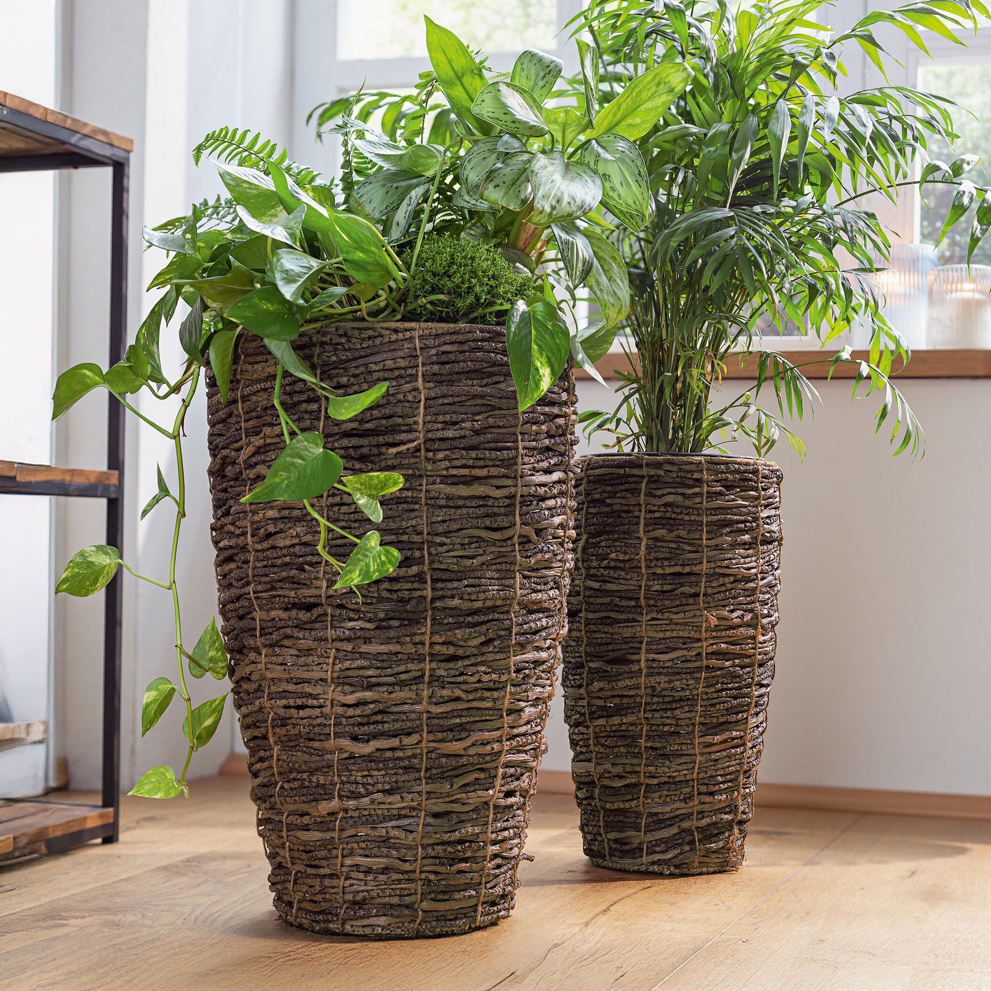 Acheter Lot de 2 cache-pots "coconut"  dans la boutique en ligne de Frank Flechtwaren