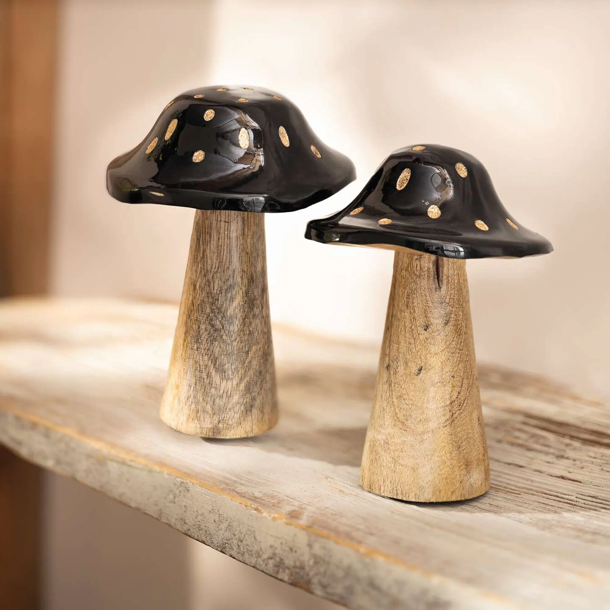 Acheter Lot de 2 champignons "Blacky"  dans la boutique en ligne de Frank Flechtwaren