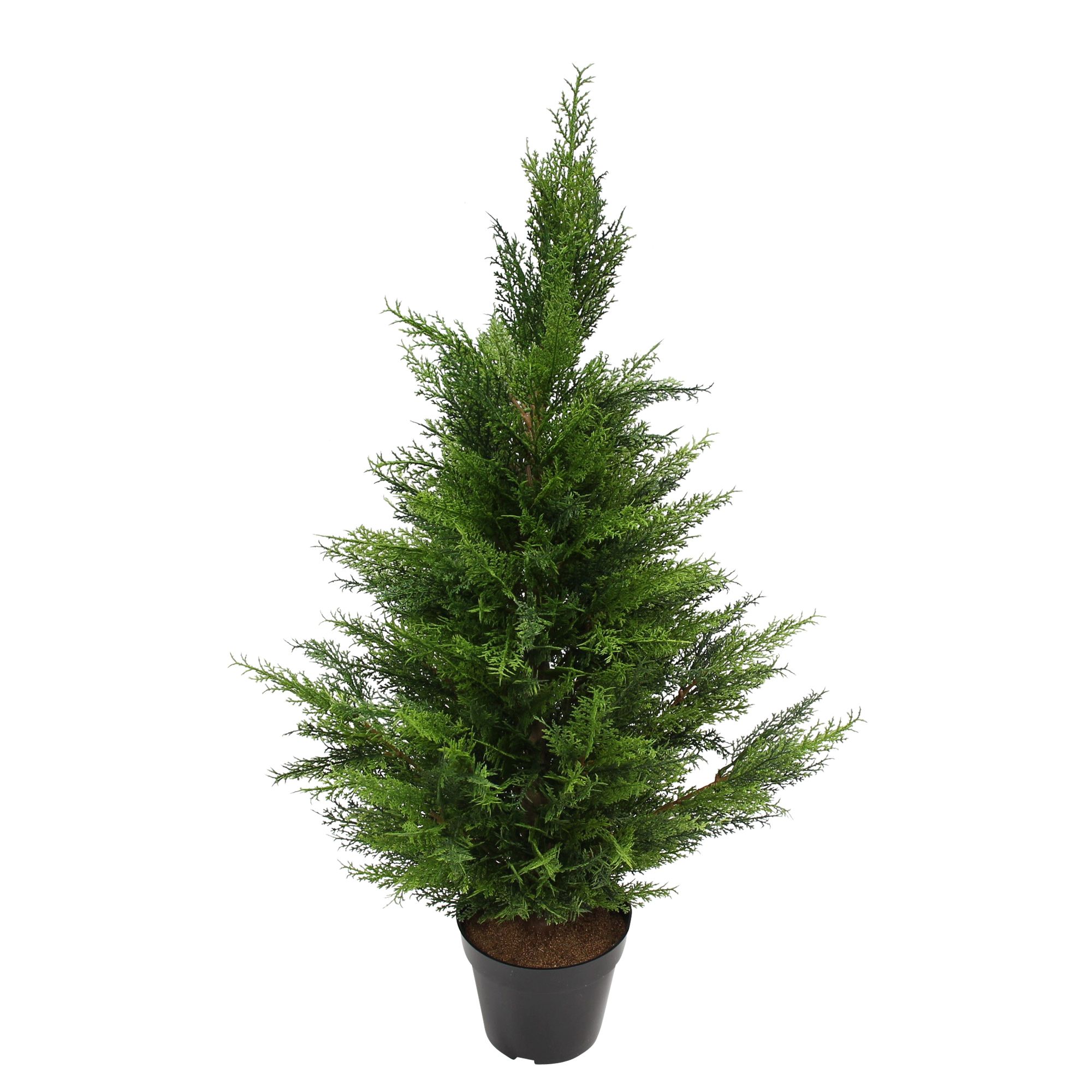 Acheter Plante artificielle "Conifère"  dans la boutique en ligne de Frank Flechtwaren pour Plantes artificielles