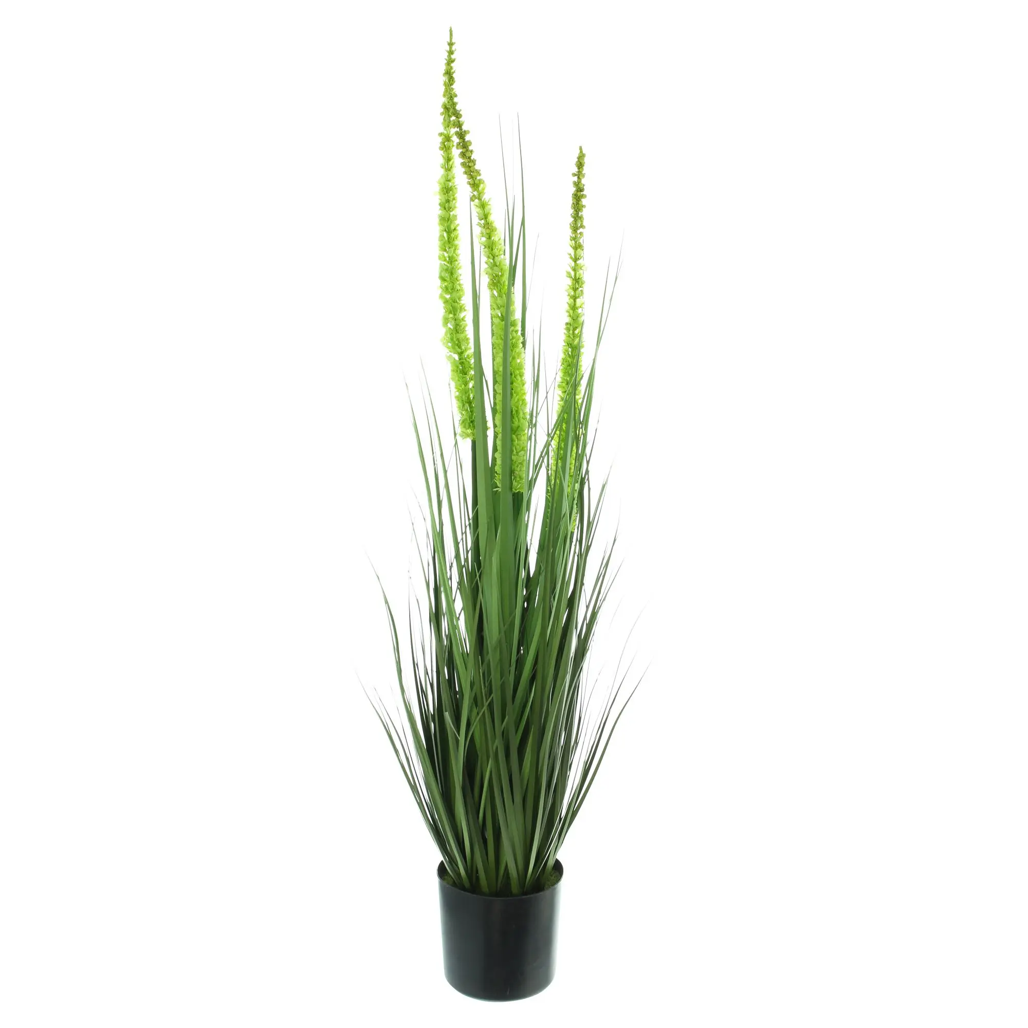 Acheter Plante en pot "érémurus"  dans la boutique en ligne de Frank Flechtwaren pour Plantes artificielles
