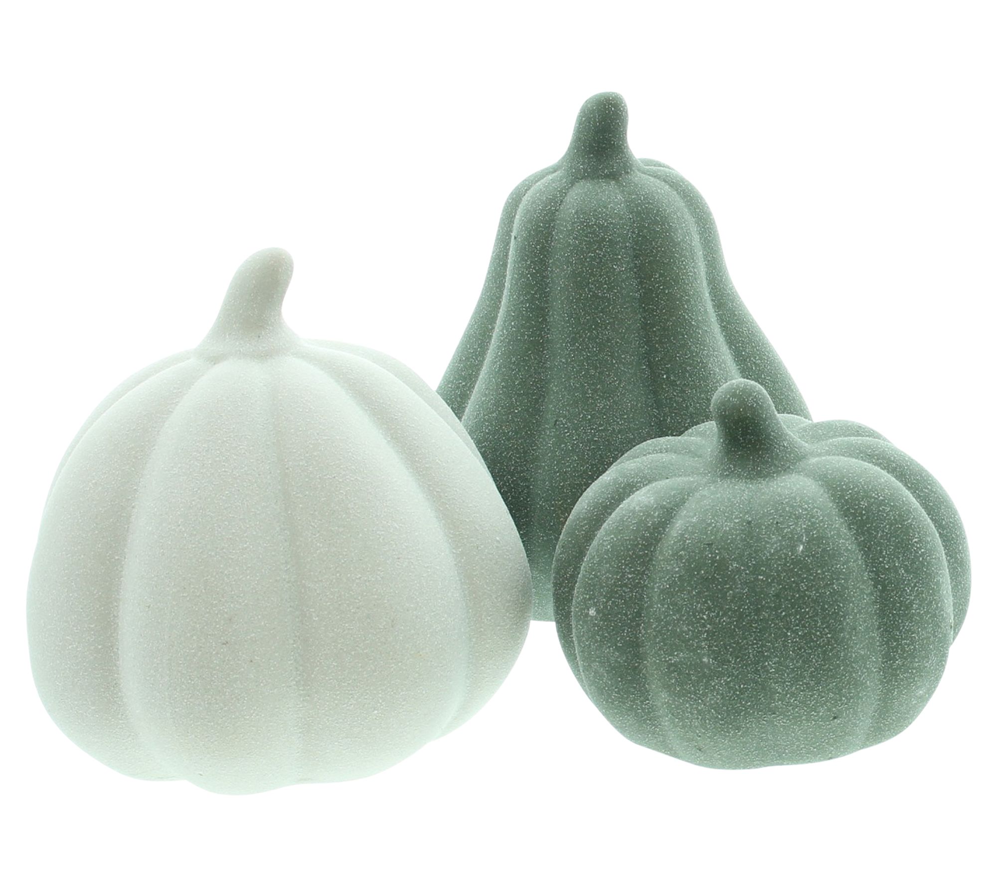 Acheter Lot de 3 citrouilles "Green Shades"  dans la boutique en ligne de Frank Flechtwaren pour Citrouilles