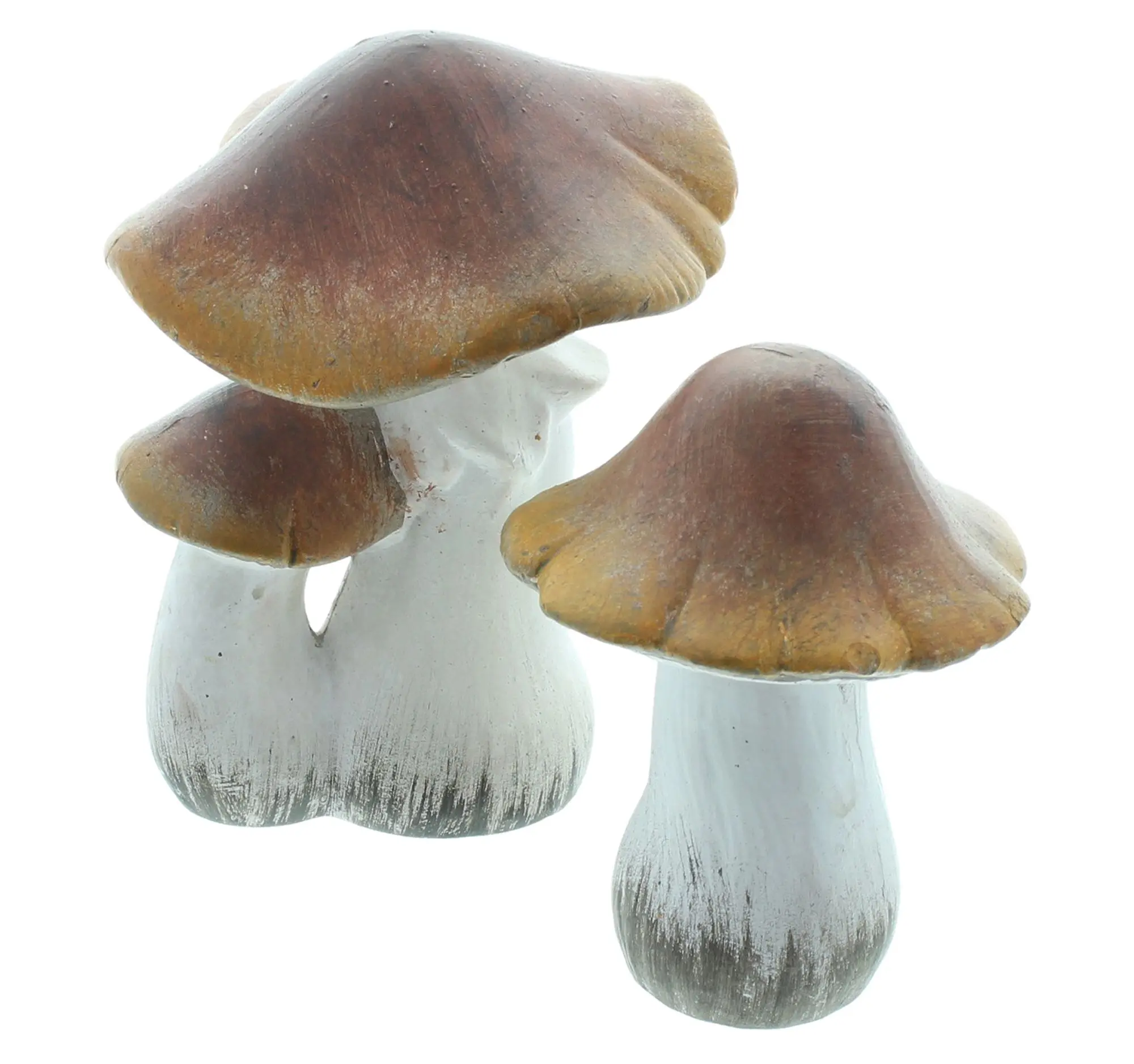 Acheter Champignon décoratif « Brownie », lot de 2 dans la boutique en ligne de Frank Flechtwaren pour Champignons