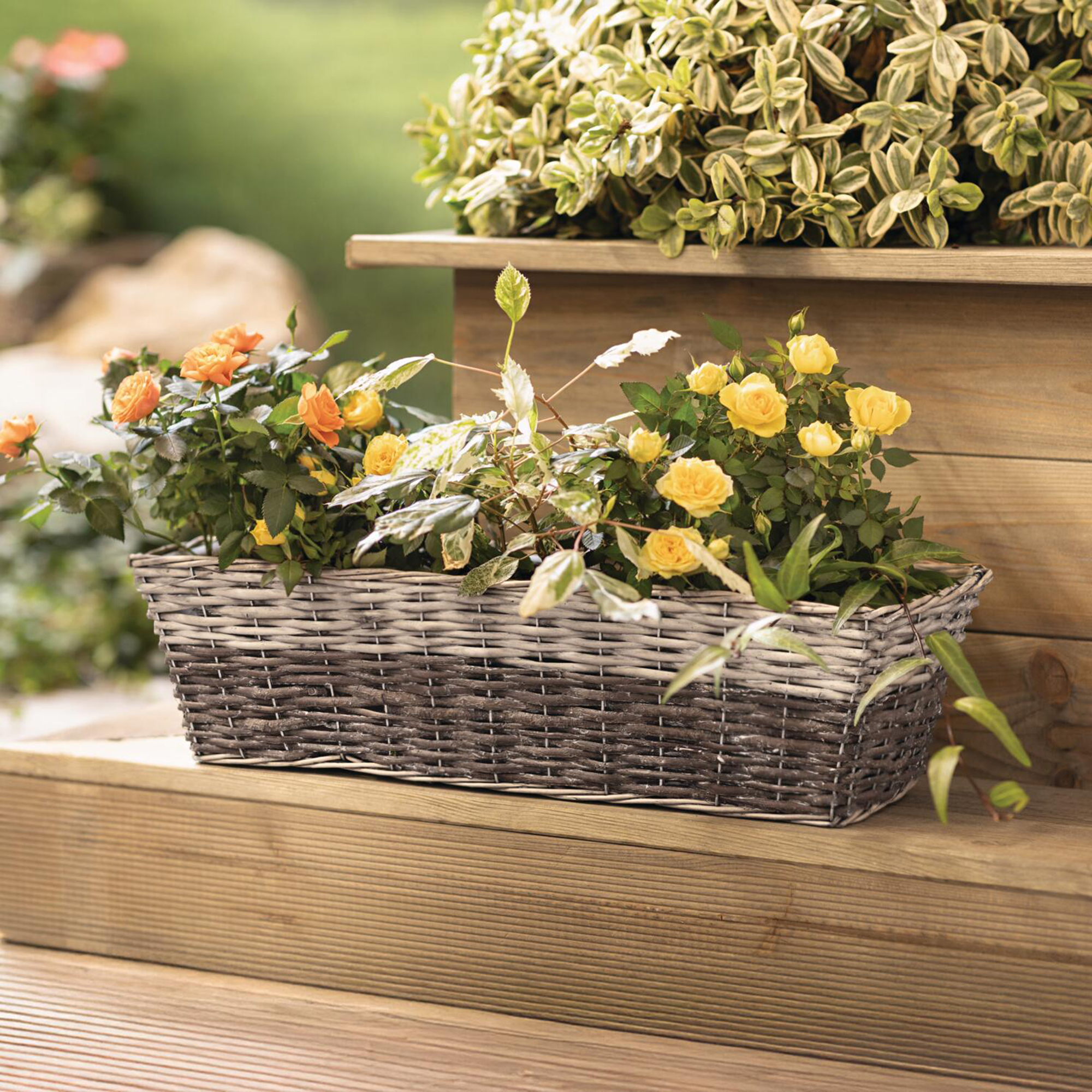Acheter Jardinière "saule gris"  dans la boutique en ligne de Frank Flechtwaren pour Jardinières corbeilles