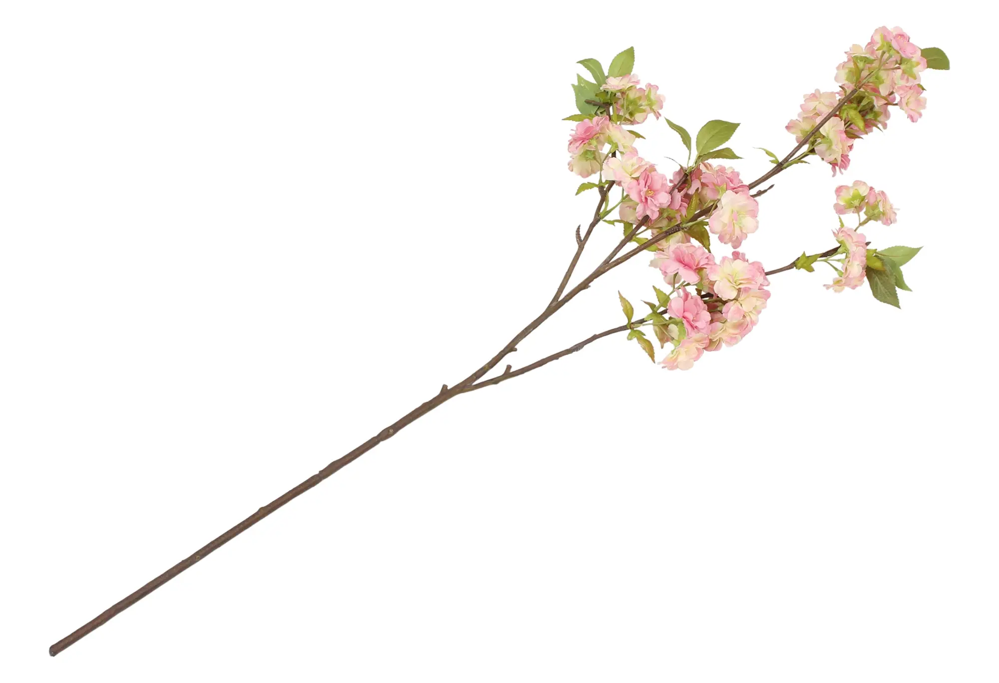 Acheter Fleur artificielle, grande  dans la boutique en ligne de Frank Flechtwaren pour Tons pastel