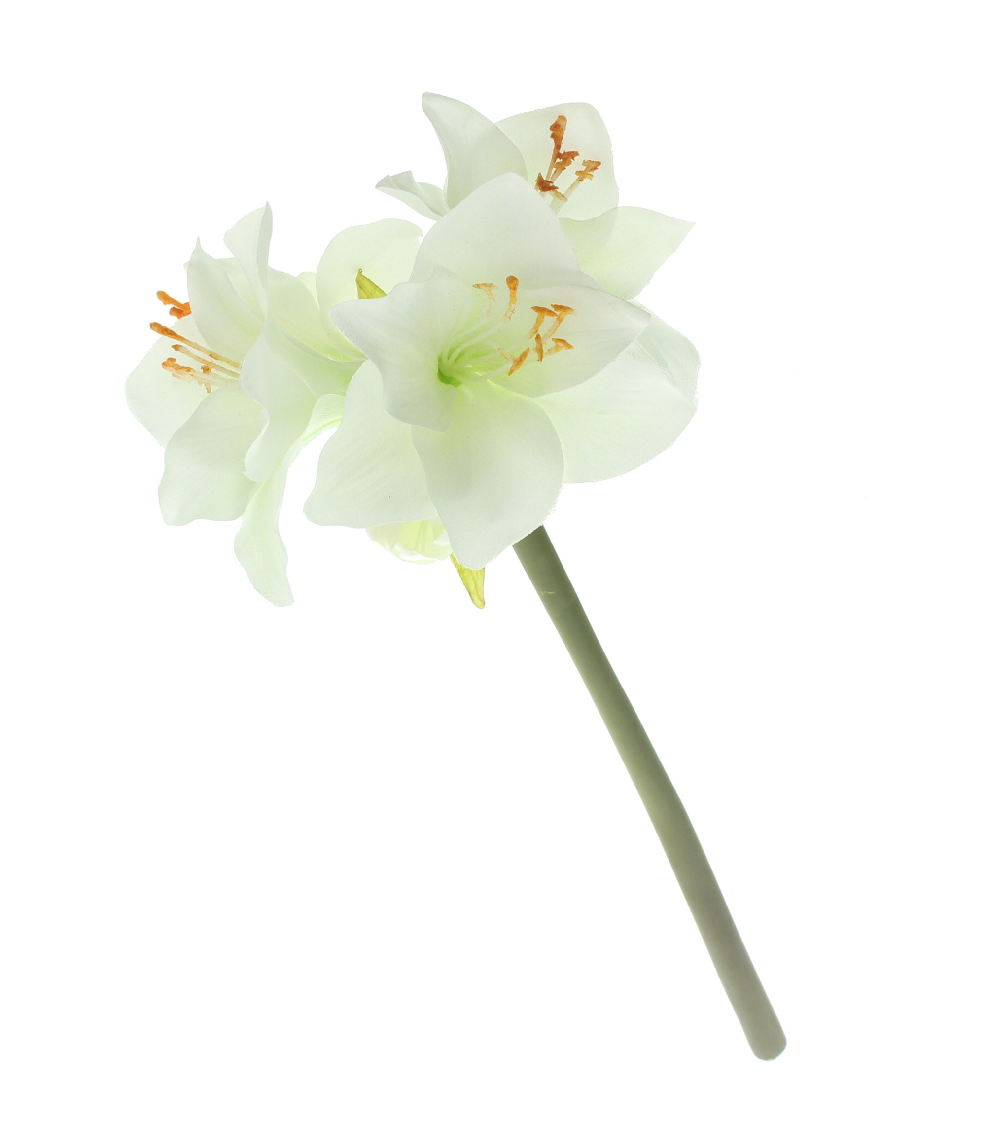 Acheter Fleur artificielle "Amaryllis", crème  dans la boutique en ligne de Frank Flechtwaren pour Plantes artificielles