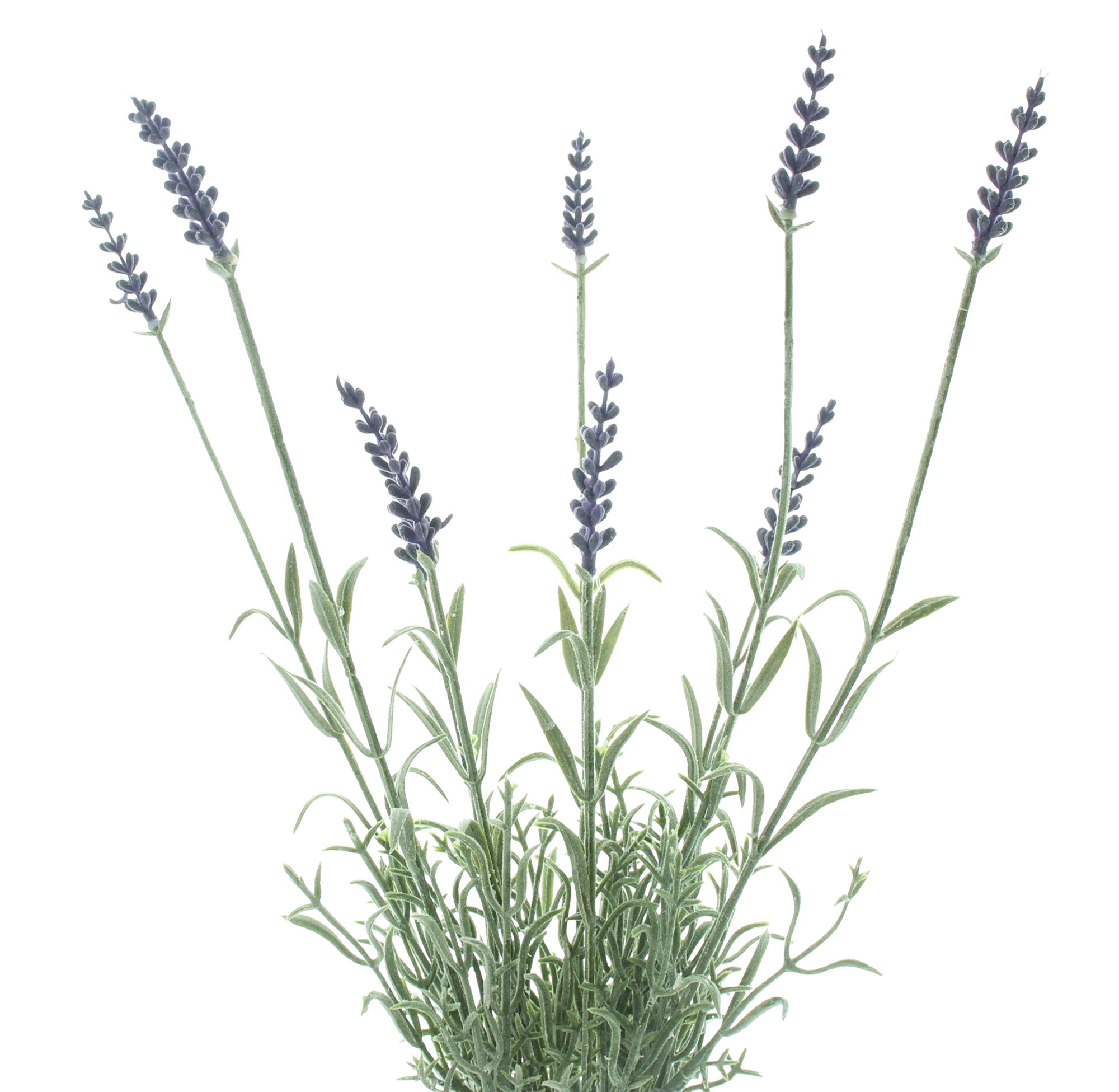 Acheter Fleur artificielle "Branches de lavande"  dans la boutique en ligne de Frank Flechtwaren pour Nouvel arrivage