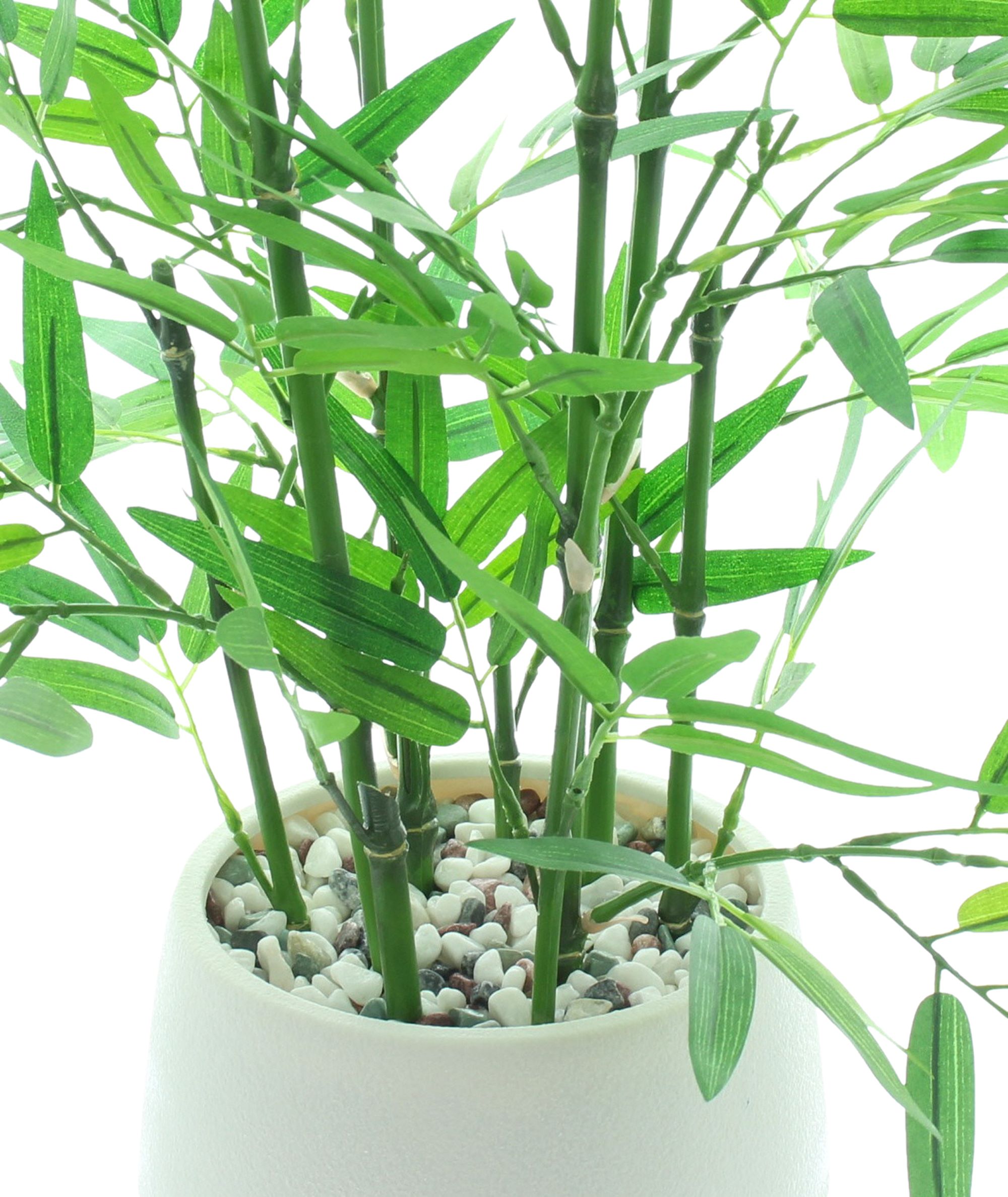 Acheter Plante artificielle "Bambou" avec pot  dans la boutique en ligne de Frank Flechtwaren pour Plantes artificielles