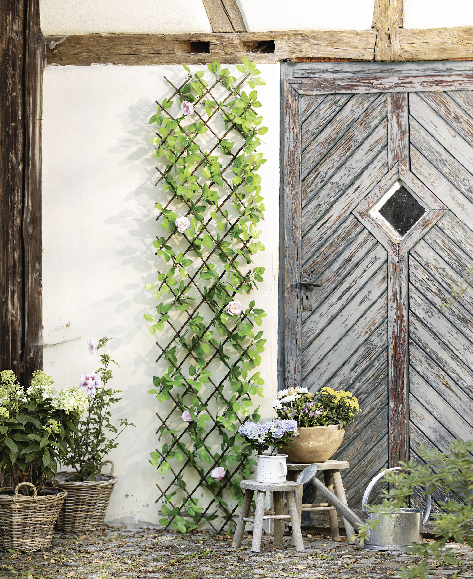 Acheter Treillis décoratif "rose"  dans la boutique en ligne de Frank Flechtwaren