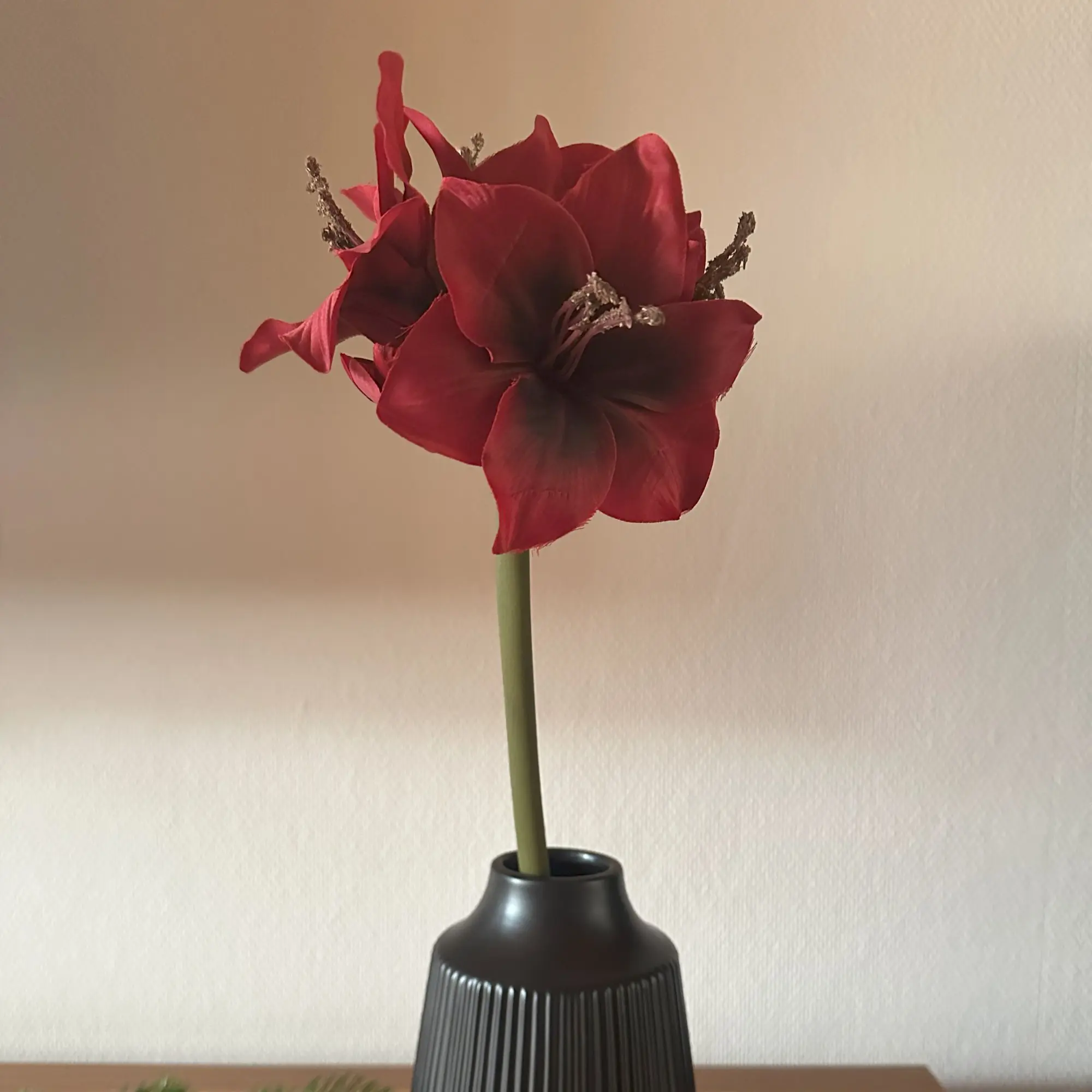 Acheter Fleur artificielle "Amaryllis", rouge  dans la boutique en ligne de Frank Flechtwaren