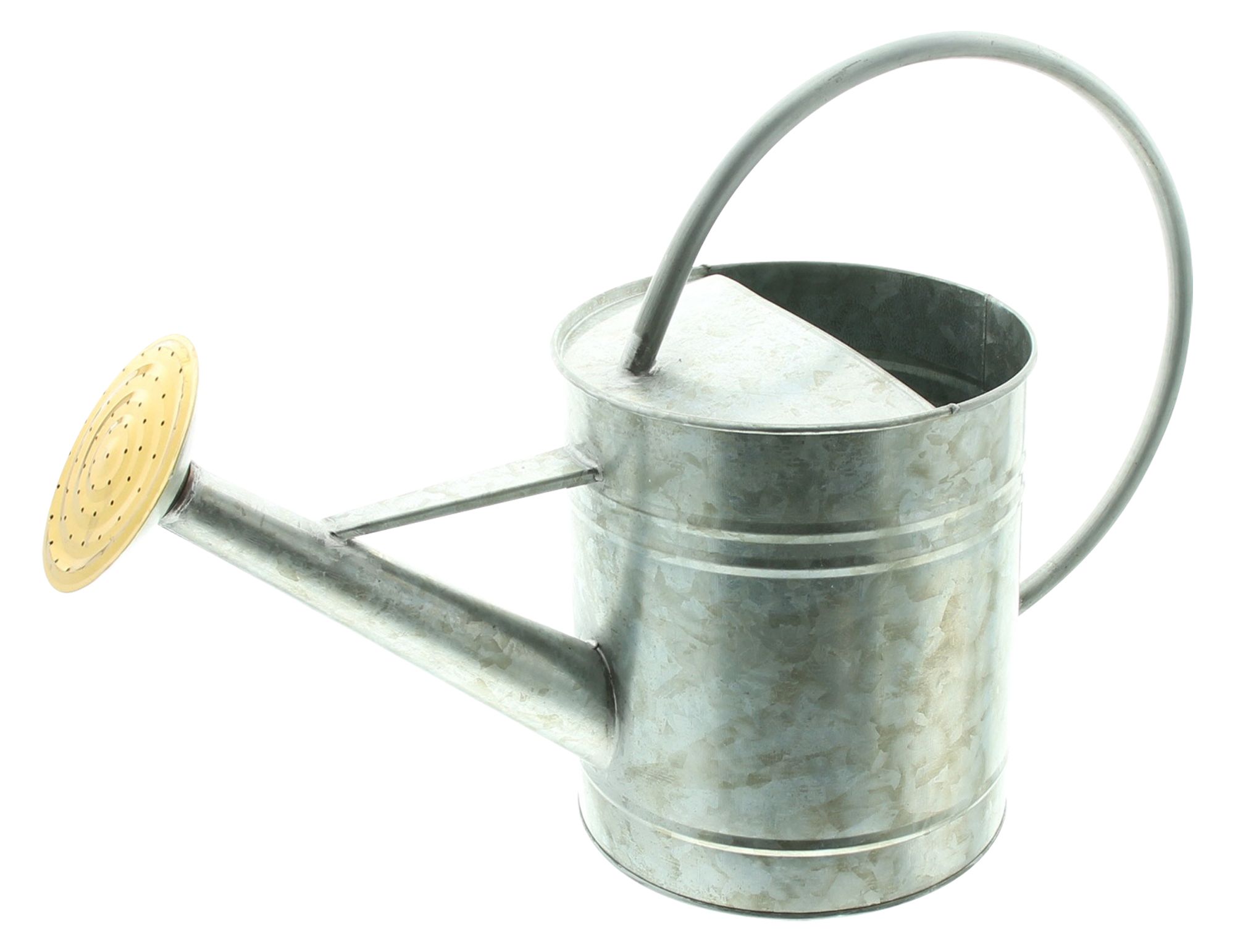 Acheter Arrosoir décoratif "Silver"  dans la boutique en ligne de Frank Flechtwaren pour Décorations de jardin