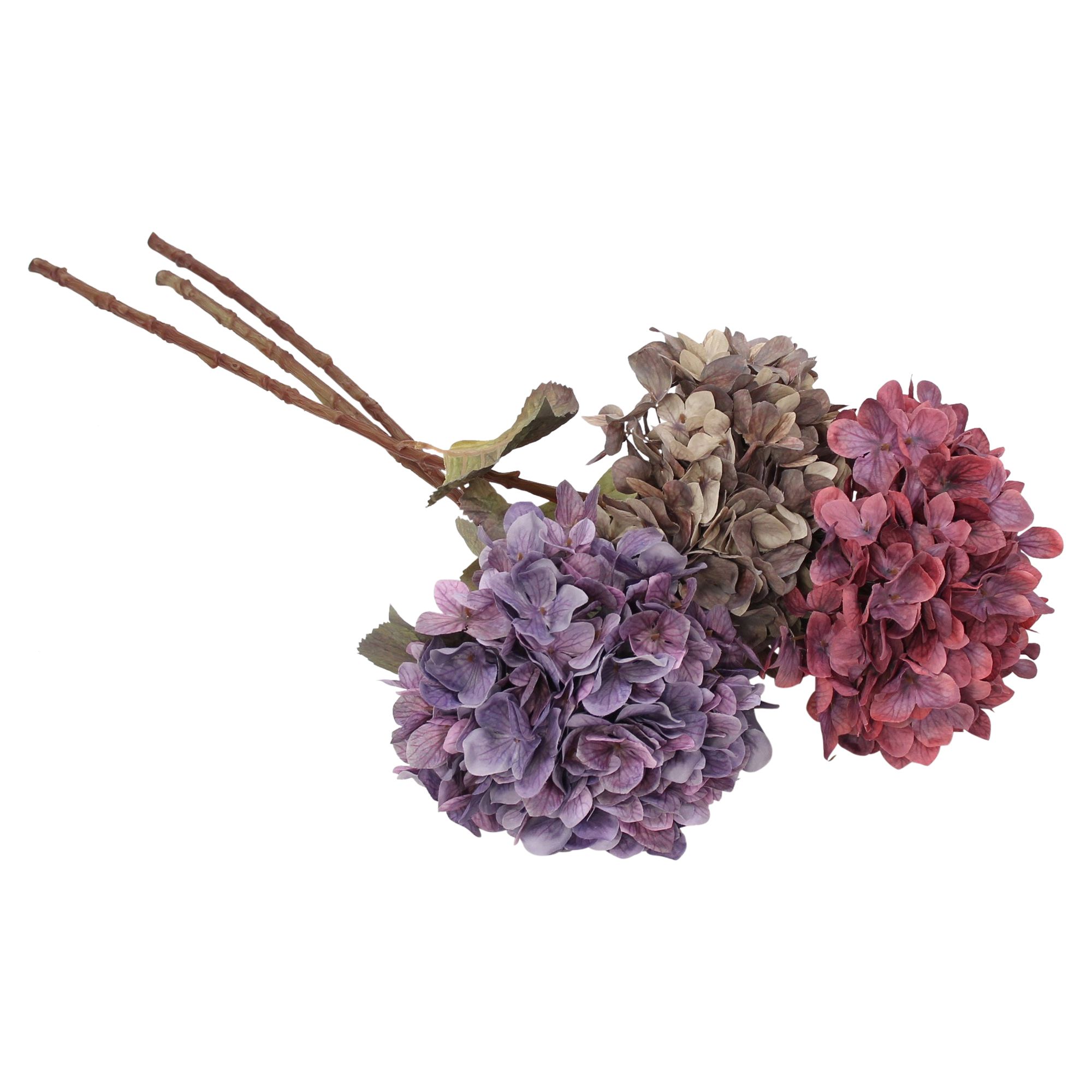 Acheter Fleurs artificielles « Hortensias », lot de 3 dans la boutique en ligne de Frank Flechtwaren pour Tons baies