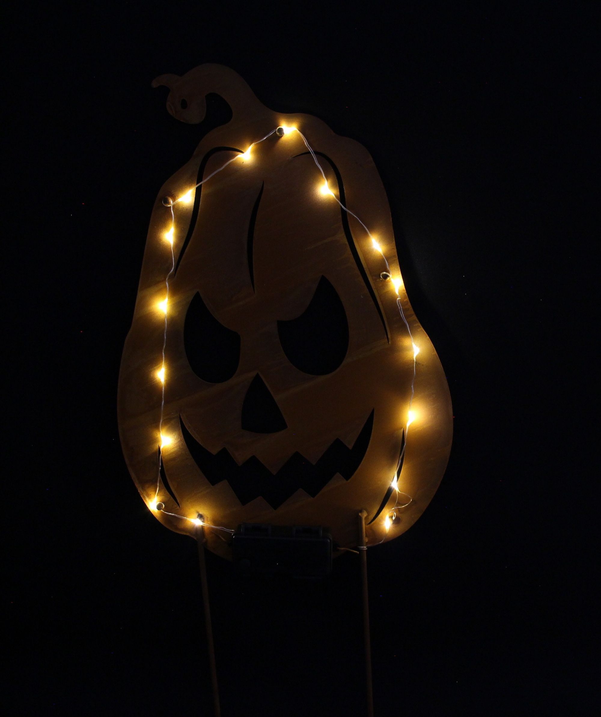 Acheter Pic LED "citrouille"  dans la boutique en ligne de Frank Flechtwaren pour Jardin d'automne