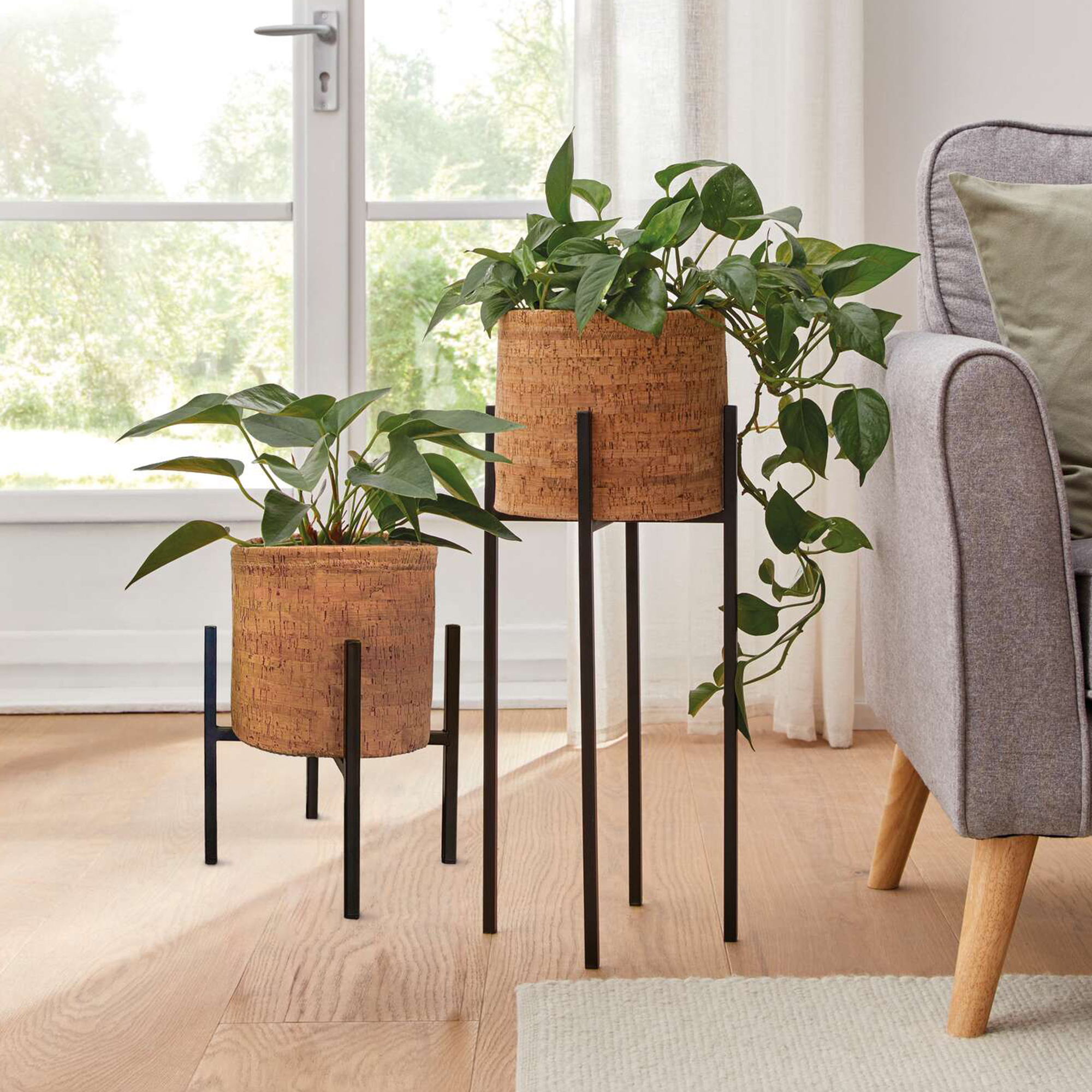 Acheter Lot de 2 cache-pots "liège"  dans la boutique en ligne de Frank Flechtwaren
