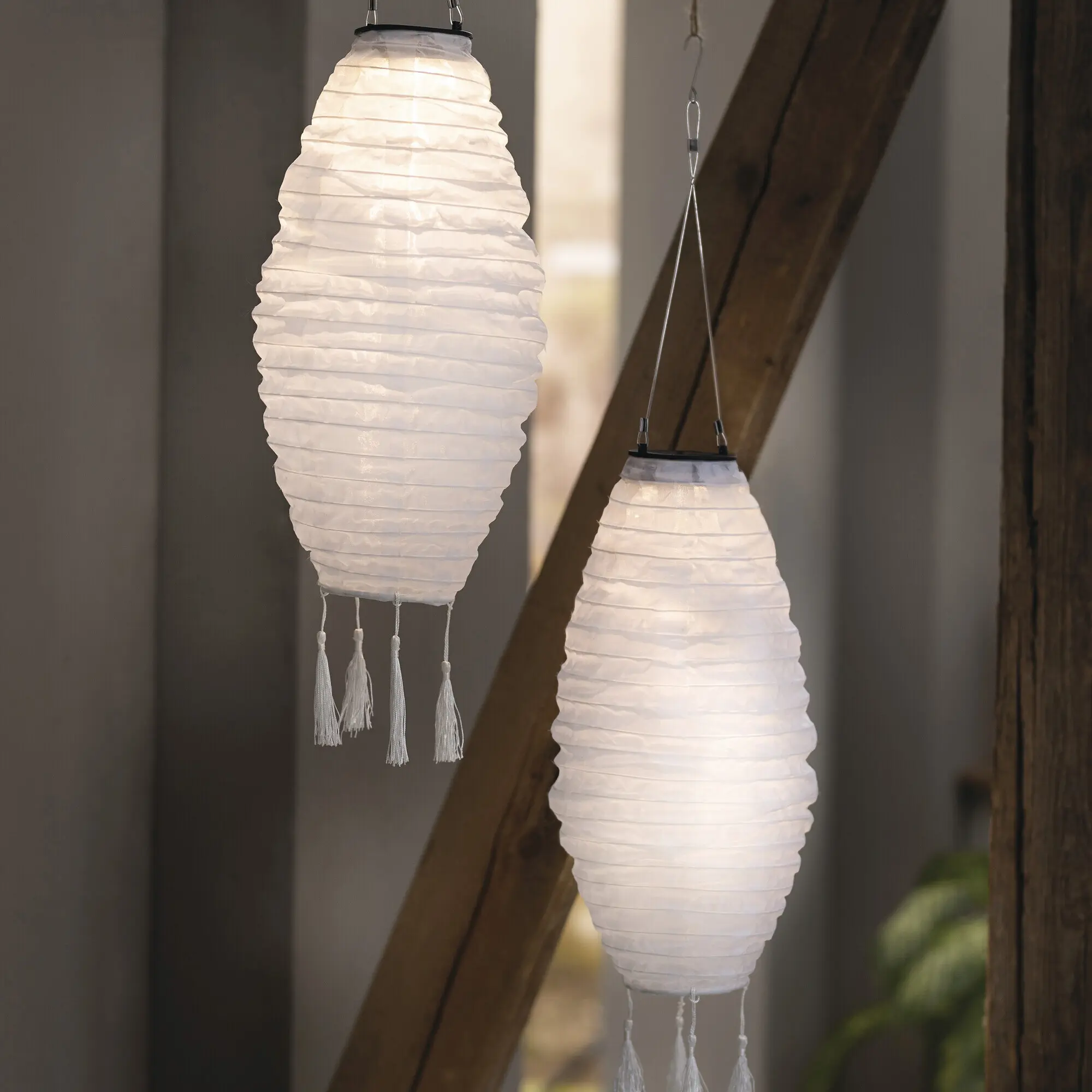 Acheter Lampion solaire "blanc"  dans la boutique en ligne de Frank Flechtwaren pour Luminaires de jardin