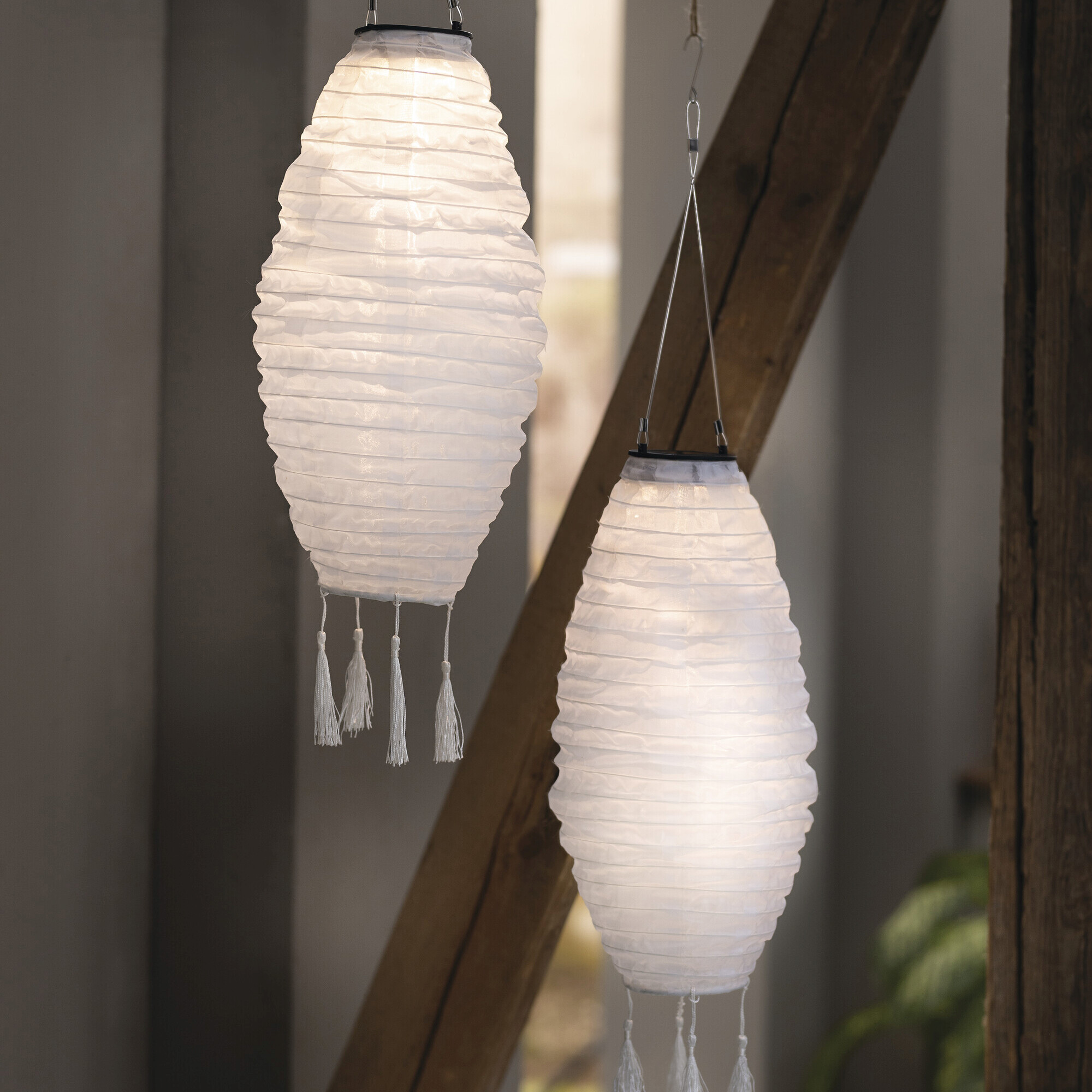 Acheter Lampion solaire "blanc"  dans la boutique en ligne de Frank Flechtwaren pour Luminaires de jardin