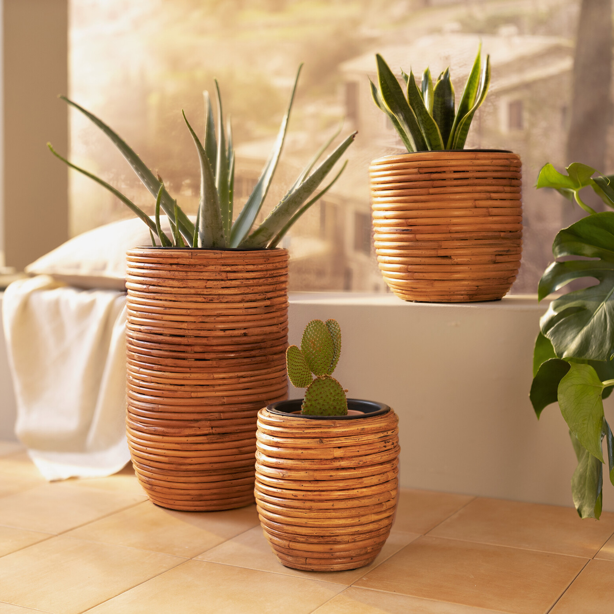Acheter Lot de 2 cache-pots "rotin"  dans la boutique en ligne de Frank Flechtwaren
