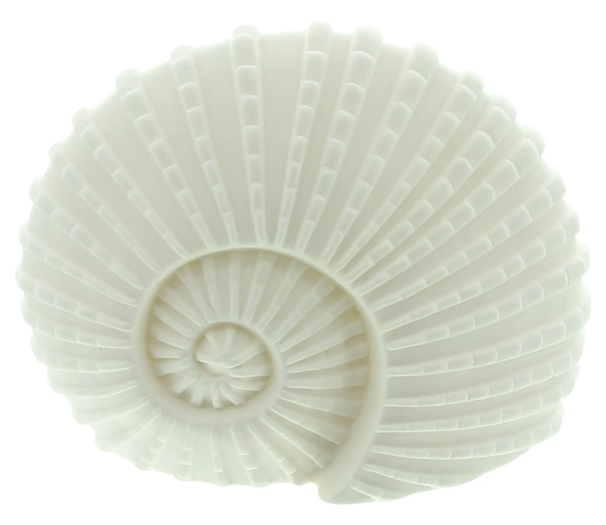 Acheter Coquillage LED "White"  dans la boutique en ligne de Frank Flechtwaren pour Figurines décoratives
